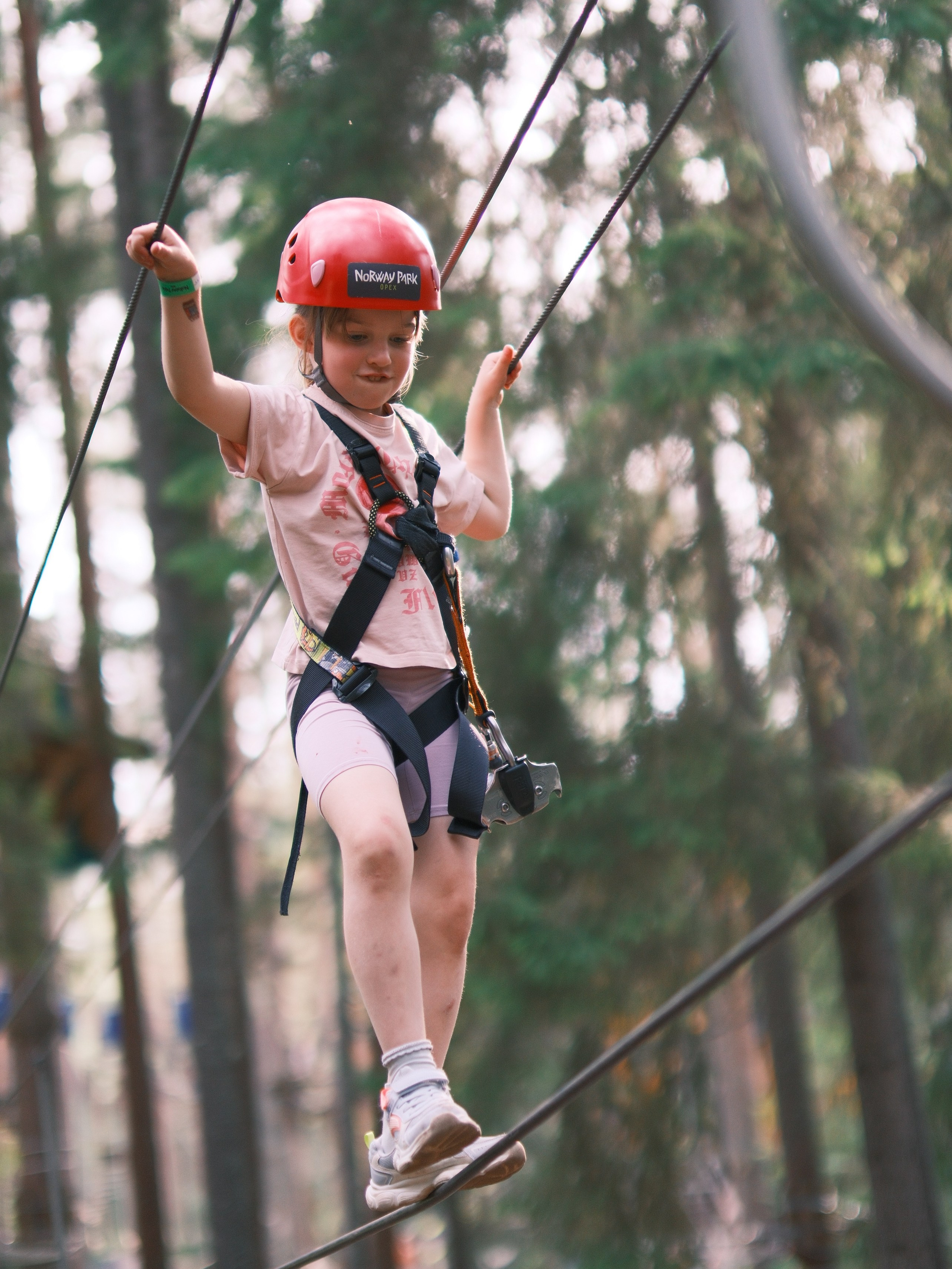 2026.07 Веревочный парк Norwey Park «Орех». Любитель фотографии Алексей Ковалев