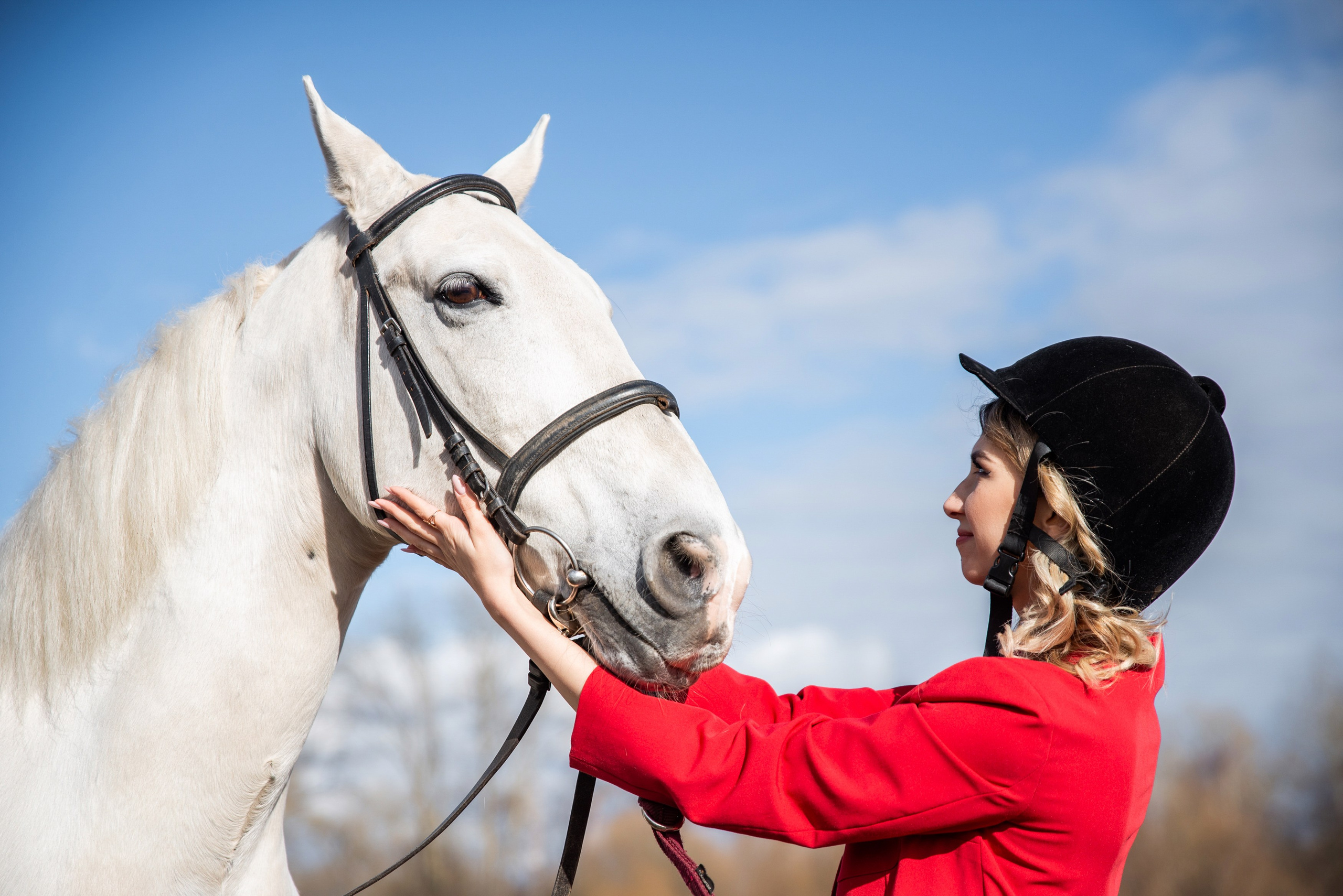 Клавикорд. Свадебный, семейный, репортажный фотограф в Перми и крае Таня Белая
