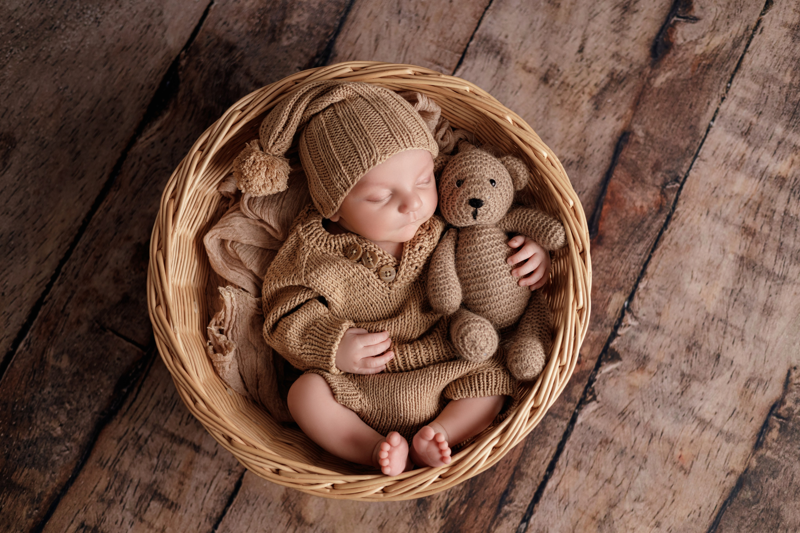 Лев. Евгения Горбунова фотограф новорожденных в Новом Уренгое