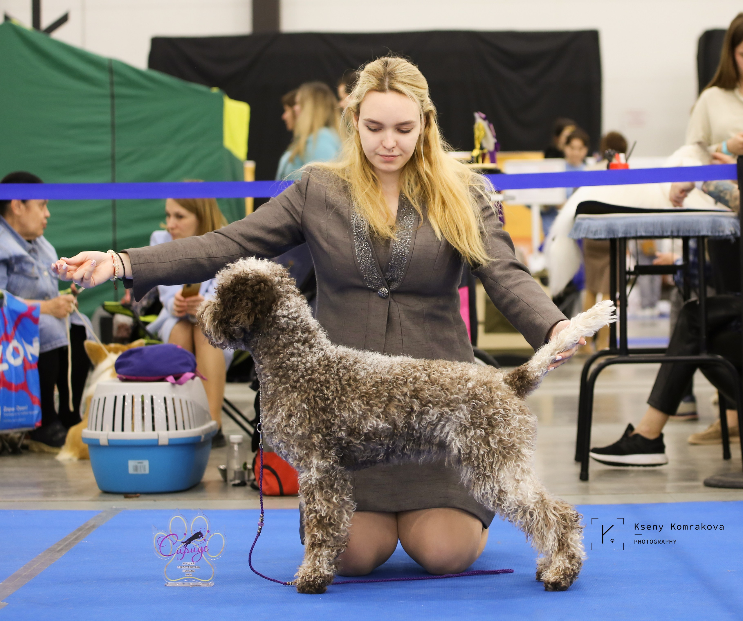 Съемка собак. Анималистика. Репортаж. Индивидуальная съемка