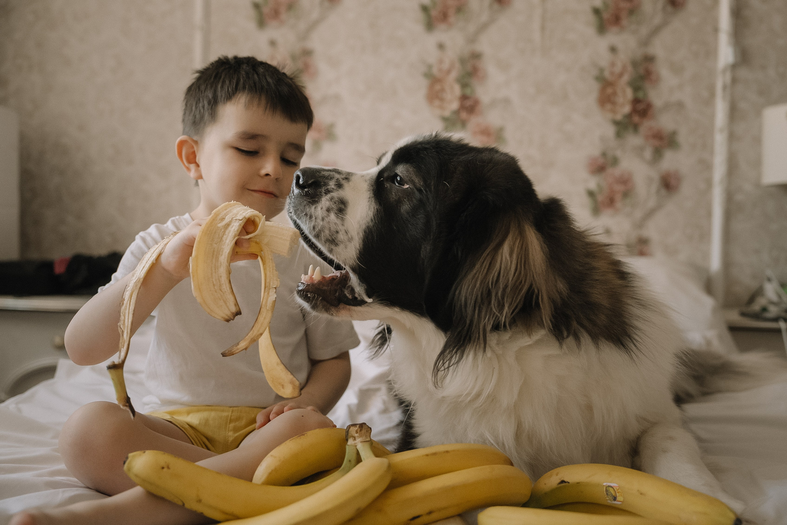 Один день Святослава. Фотограф и видеограф в Тюмени Екатерина Чернецкая
