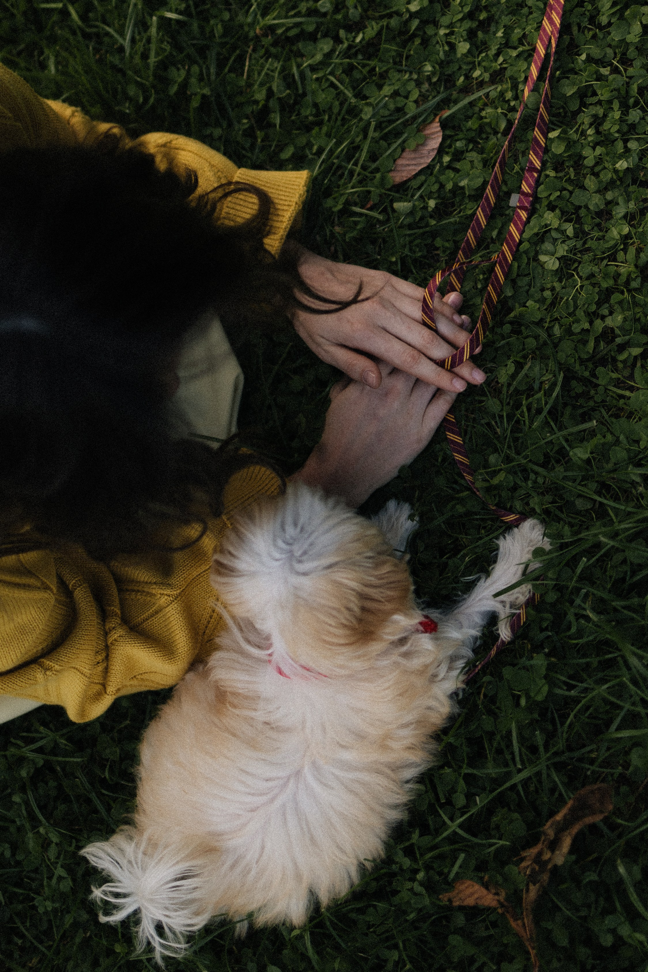 Оля и Бри. Фотораф — анималист Мария Шистка