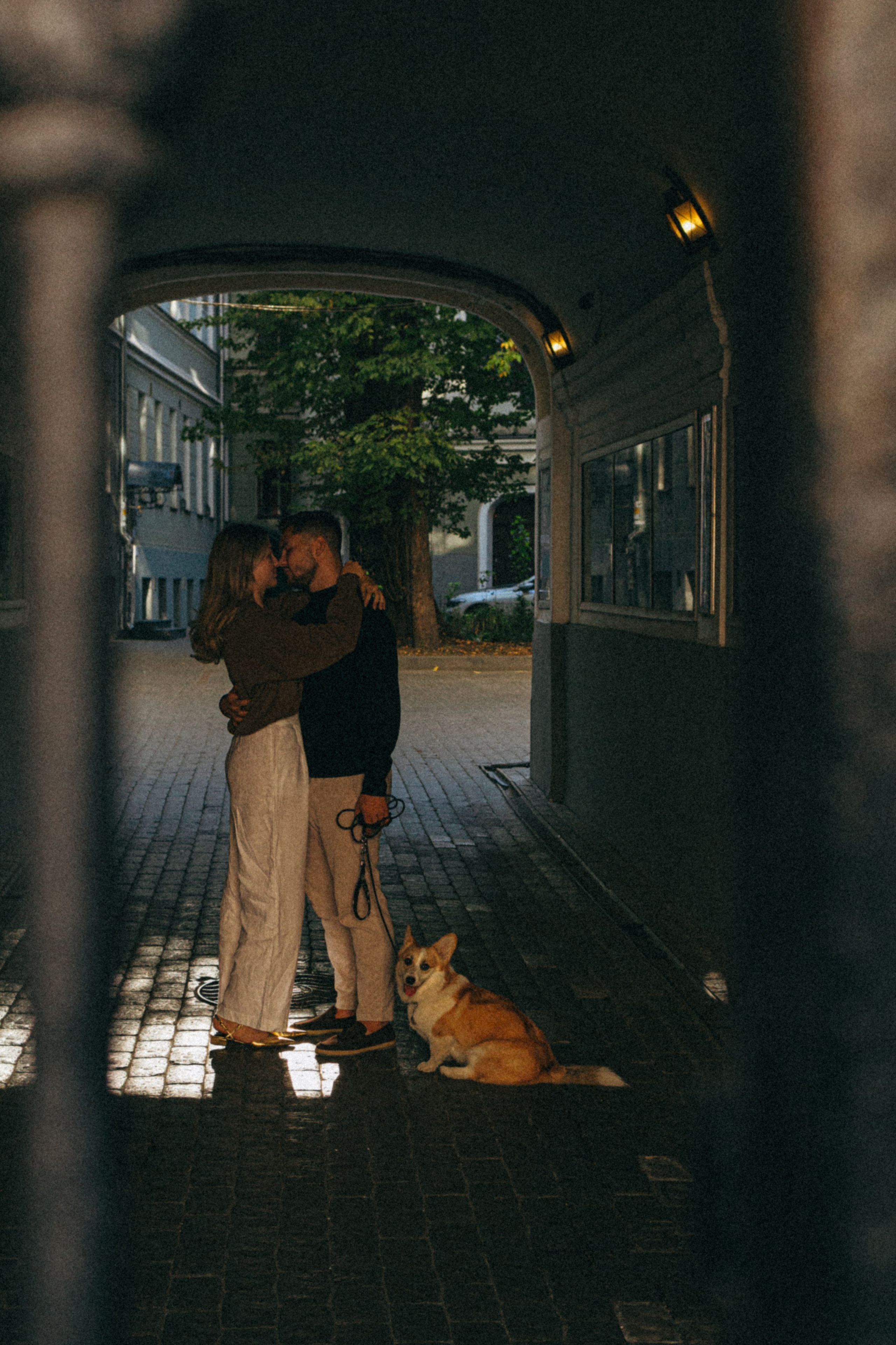 Даша, Рома и Лесли. Фотораф — анималист Мария Шистка