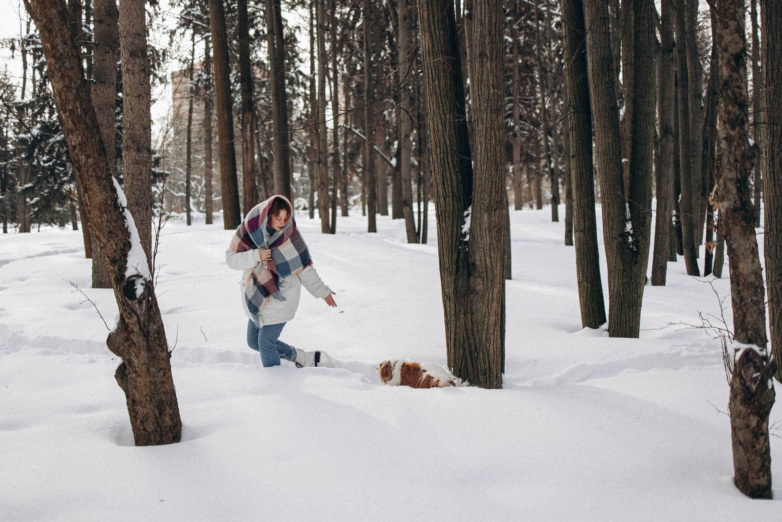 Рита и Нюша. Фотораф — анималист Мария Шистка