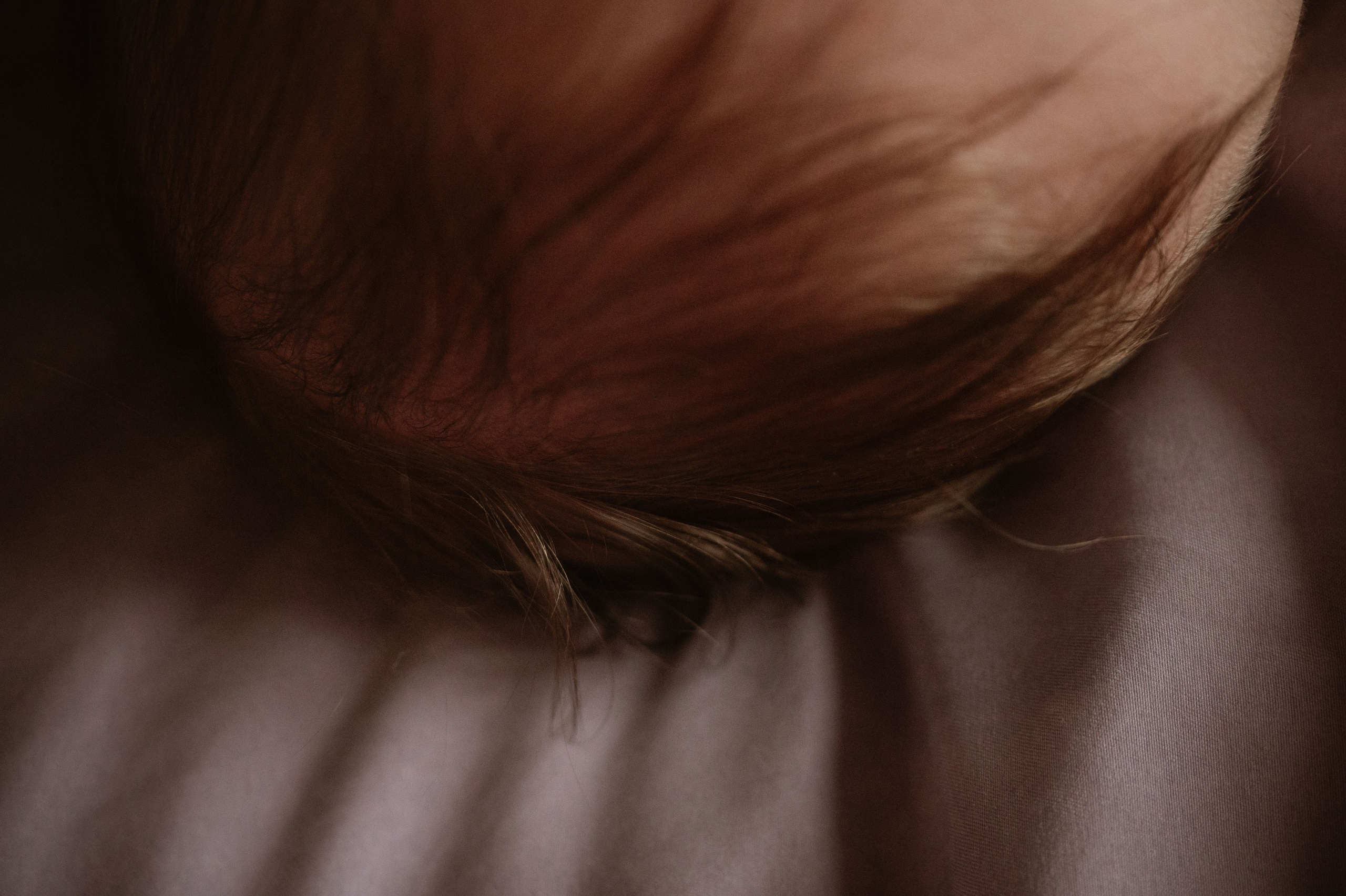 София и Бо. Фотограф беременности и семьи, домашние съемки, Ньюборн