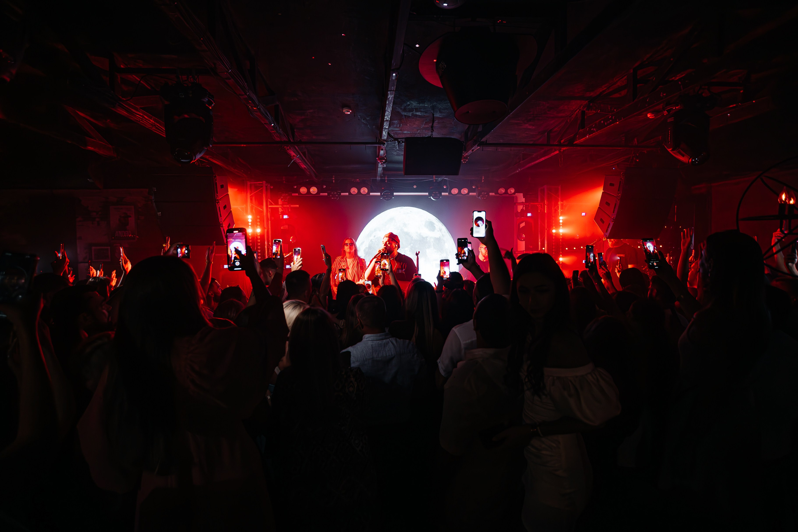 Чайка_на_пляже_Андро_Ялта_24.08.2024. Аминов Руслан | Фотограф