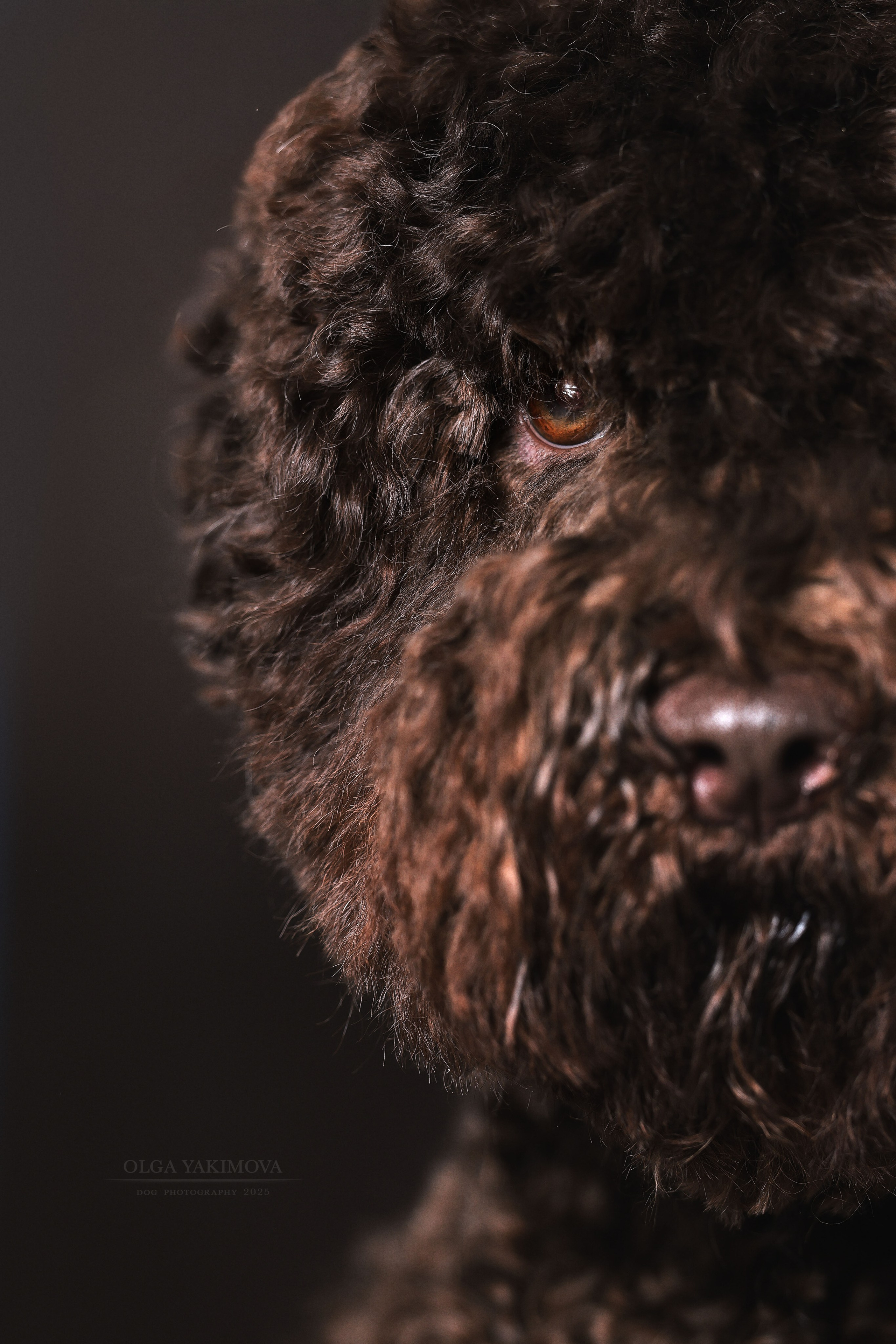 Экстерьер. Фотограф