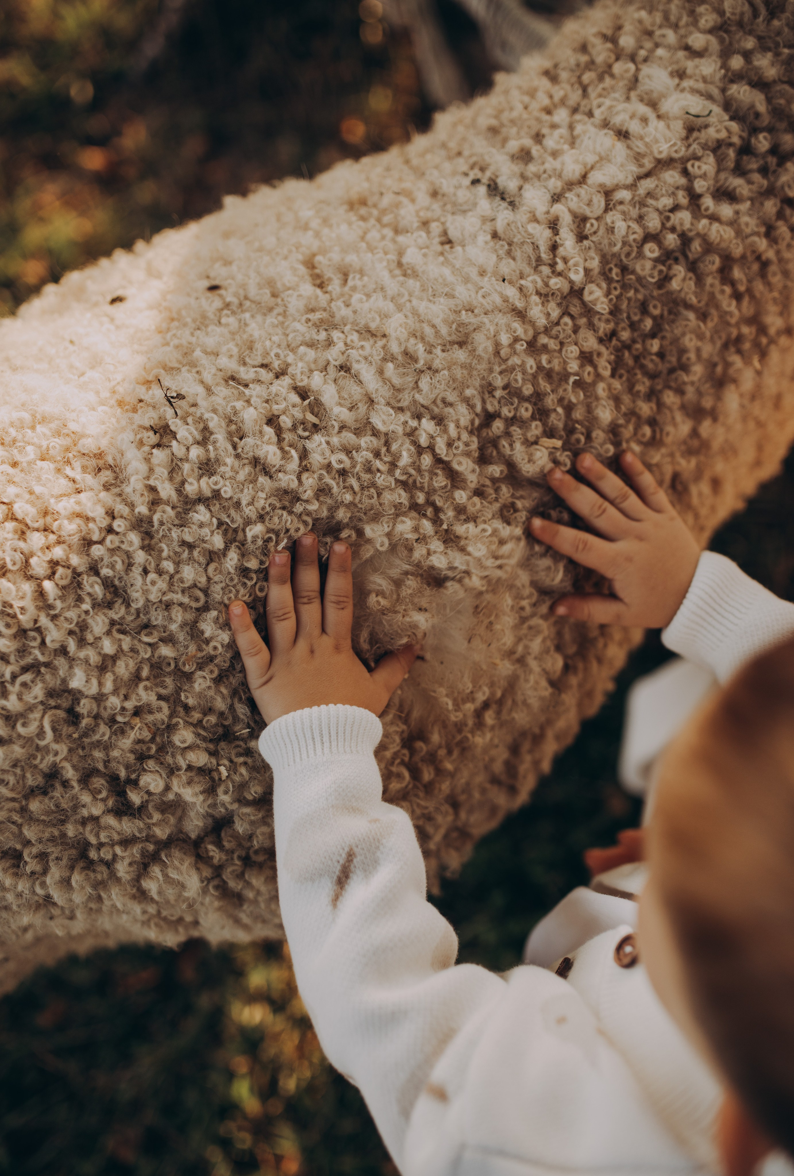 Ферма. Семейный фотограф Кристина Шахура