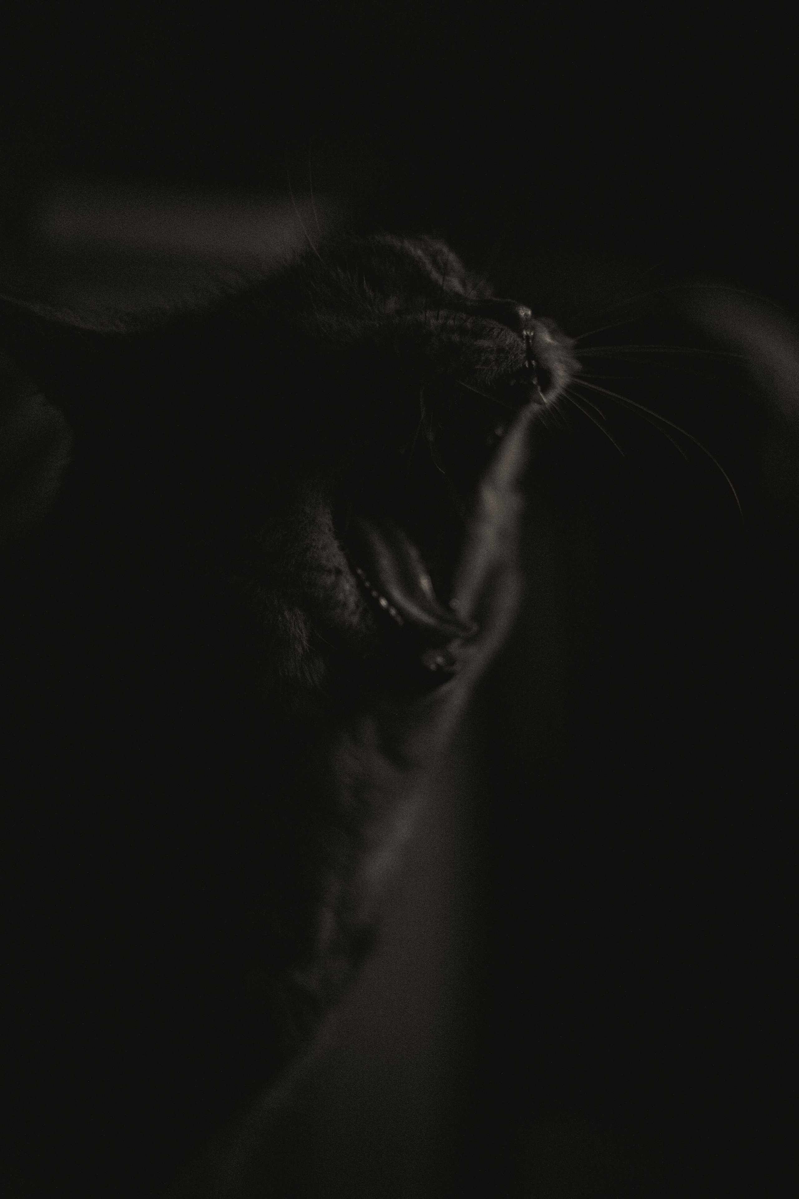 Характер. Dmitriy [KCCC] is a pretty cool photographer