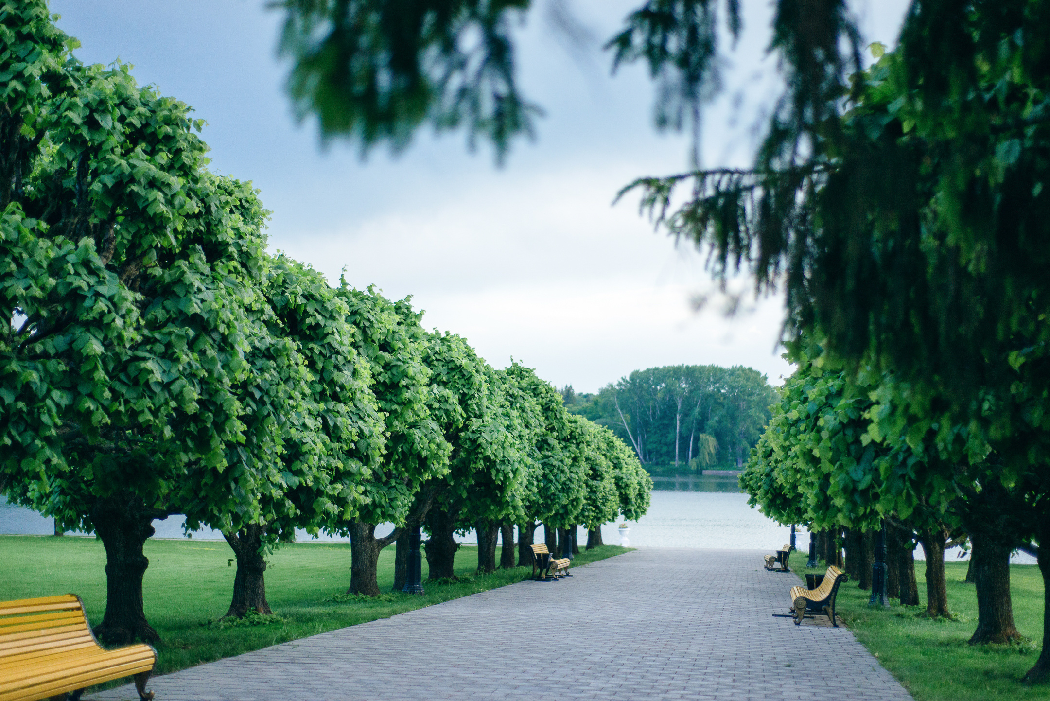 Фотосессия влюбленных в Белгороде Косилов Денис. Свадебный фотограф в Белгороде Косилов Денис