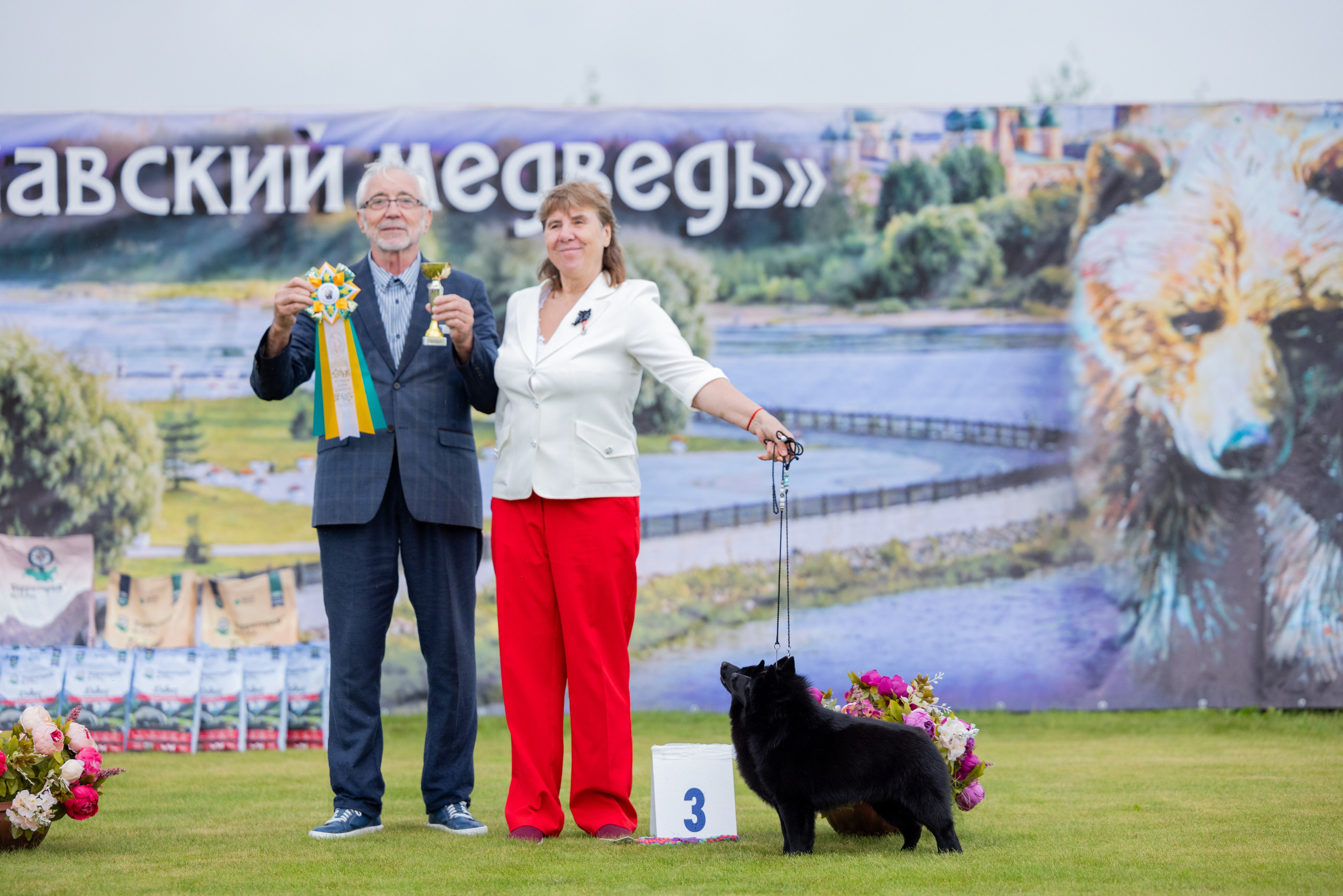 Ярославль 21.07.24 и Балашиха 13.07.24. Фотограф-анималист Юлия Германика