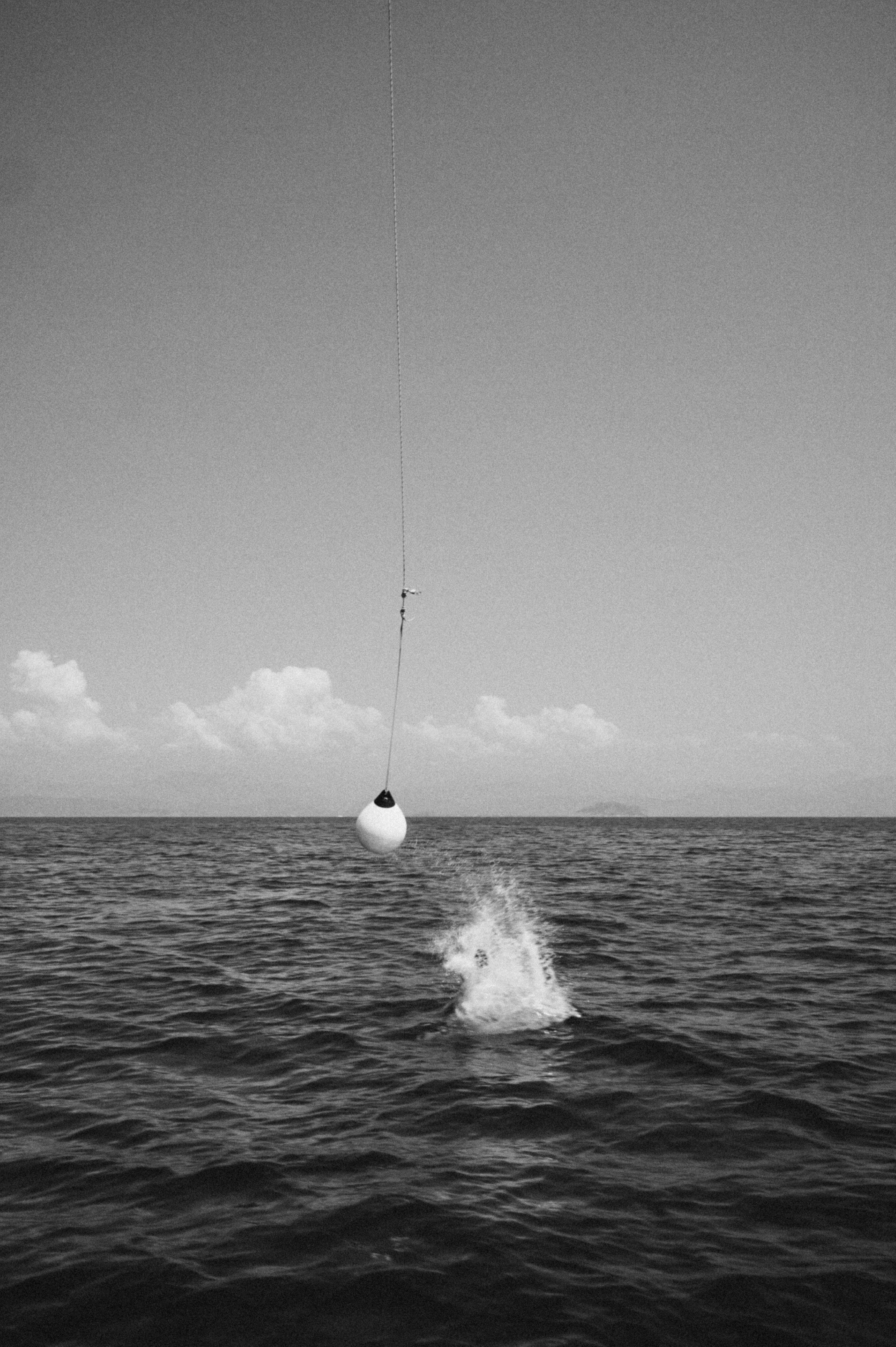 Wedding Regata. Sasha&Karina Photographers