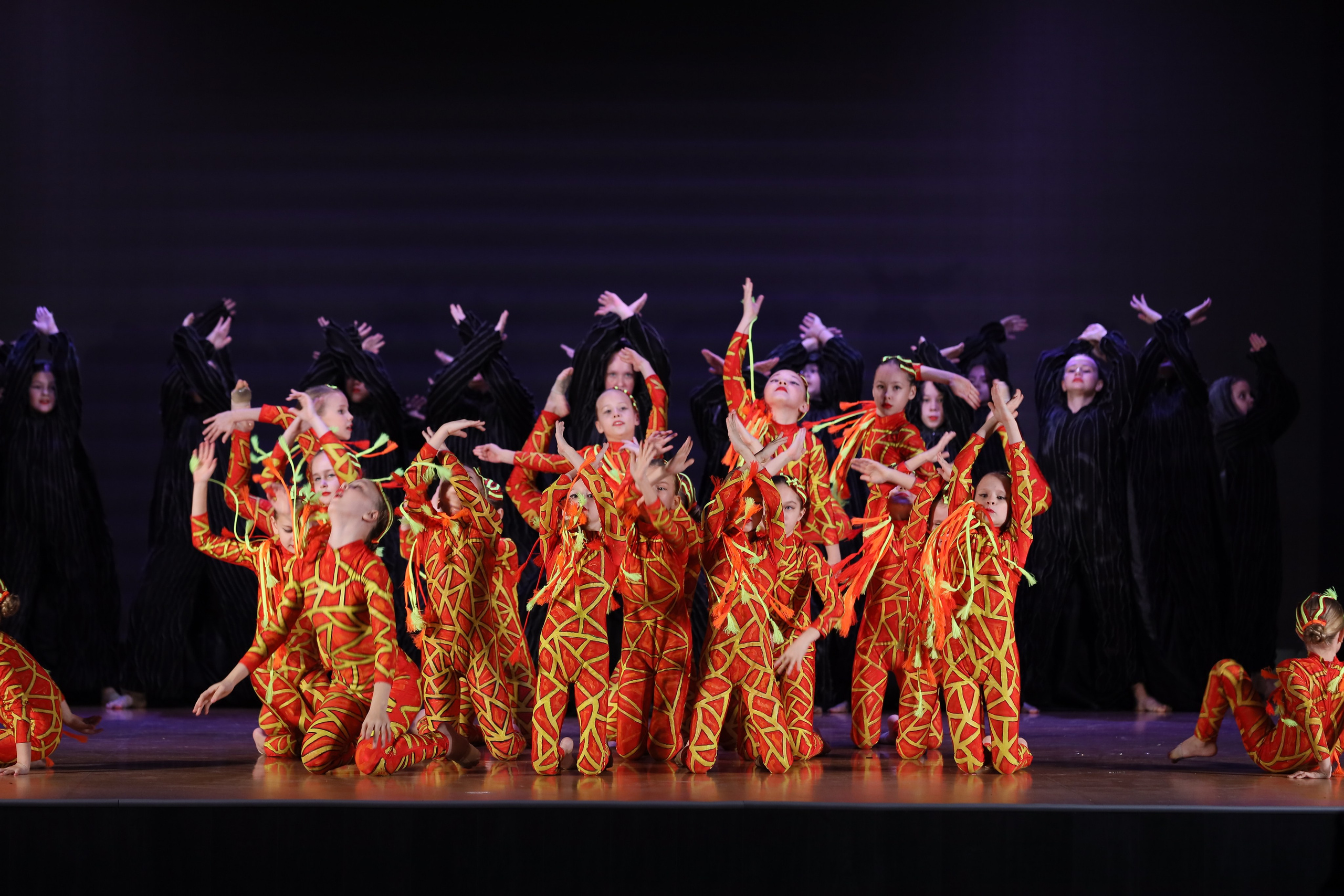 4 ноября, блок 1, видео, номера 49-58, г. Краснодар. Золотое яблочко