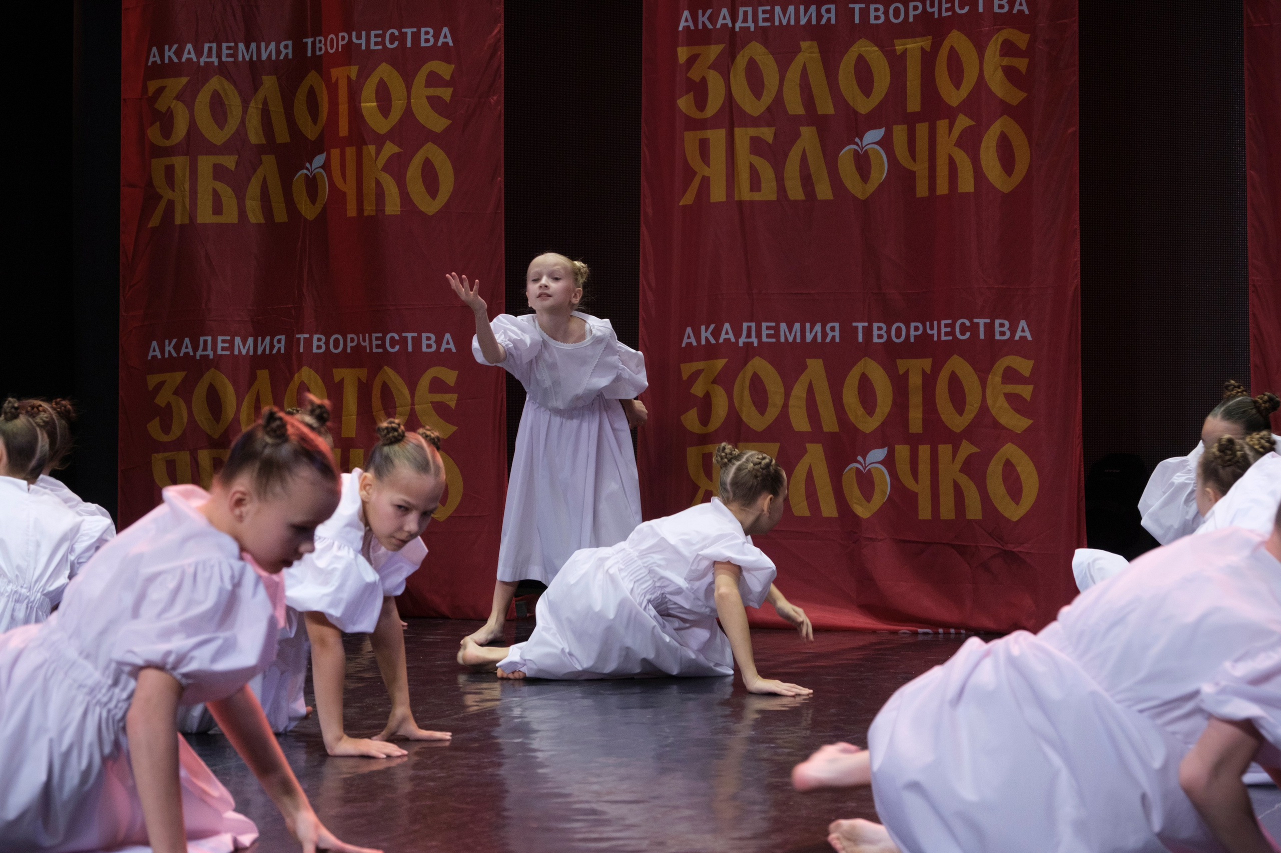 17 ноября, г. Великий Устюг. Золотое яблочко