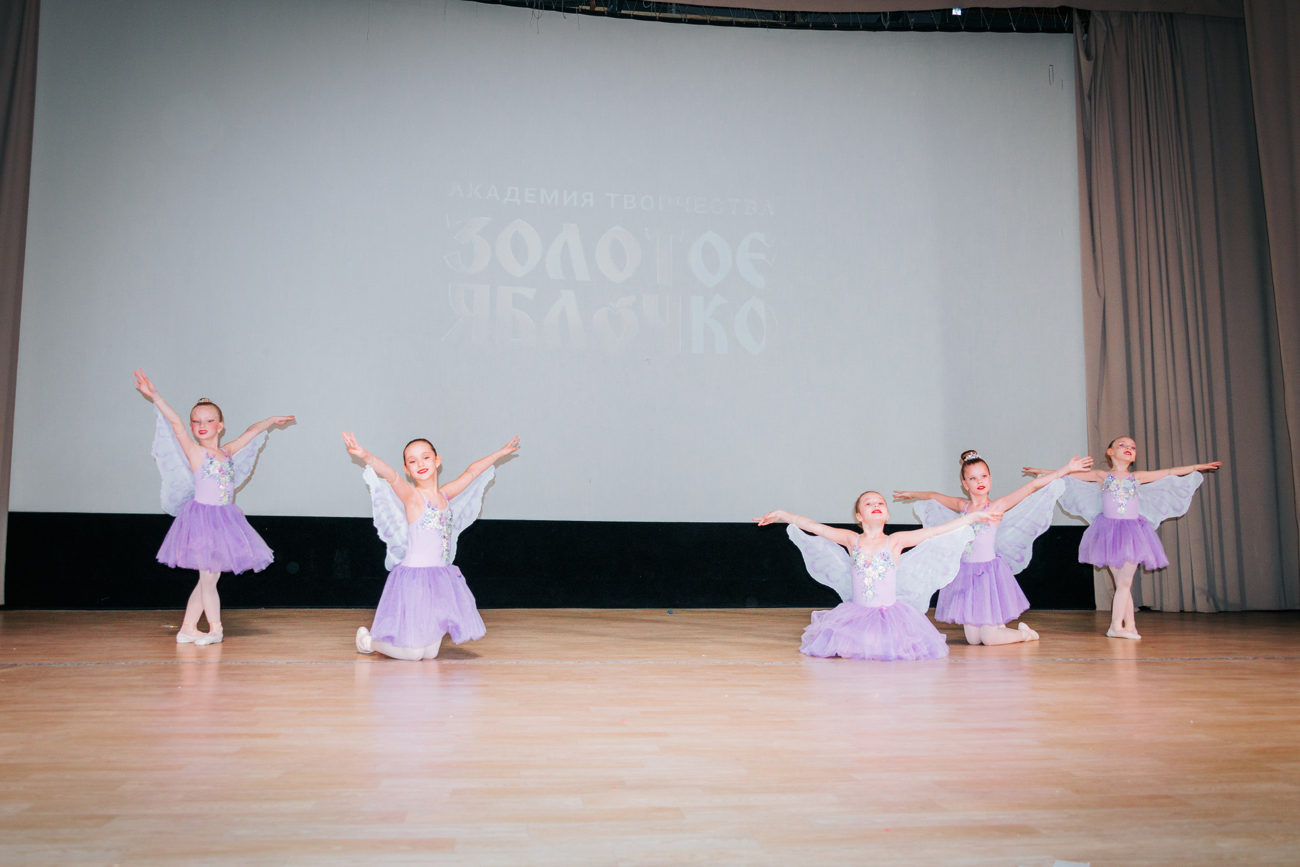 16 марта, г. Суздаль. Золотое яблочко