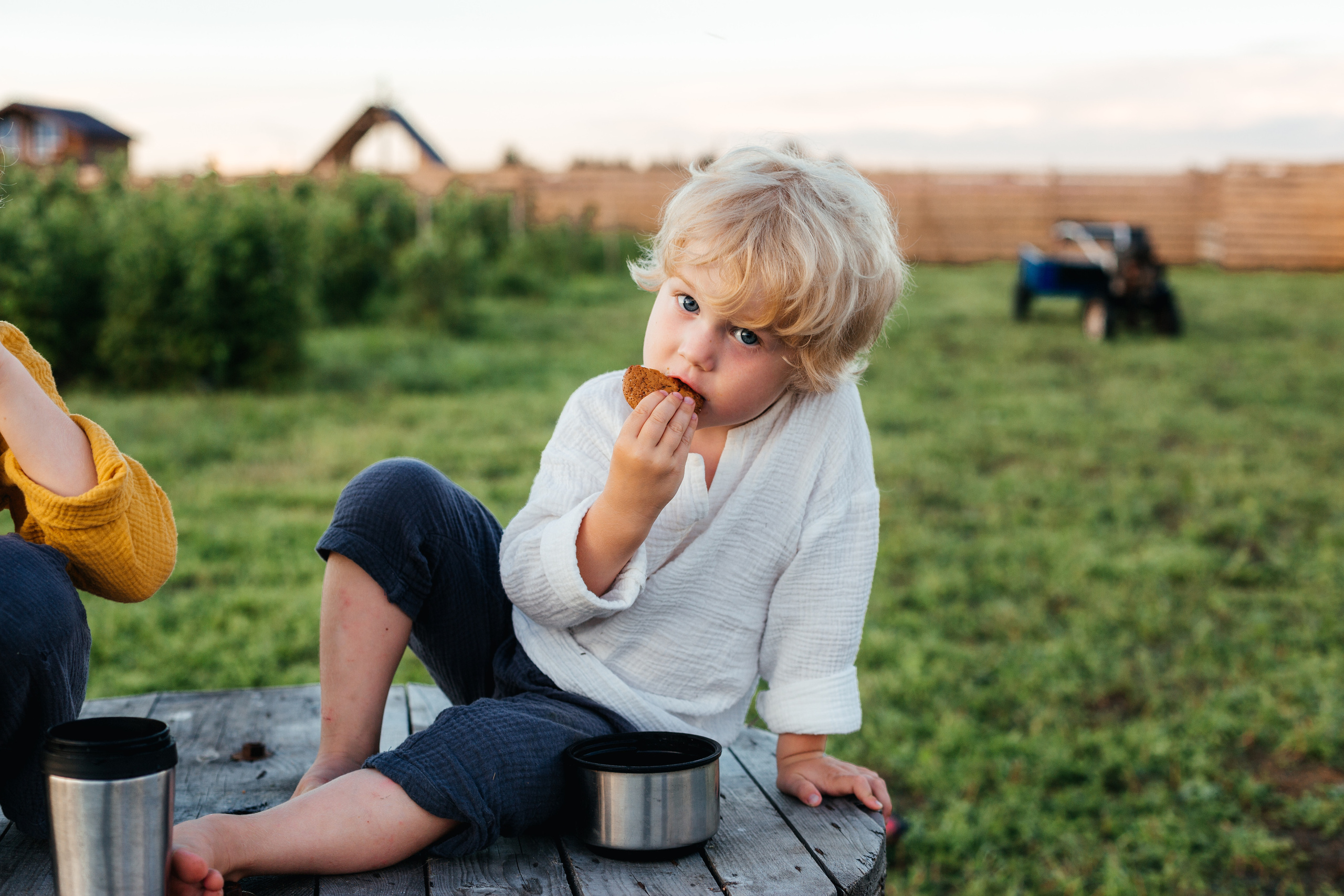 Малиновое Поле, с прибавлением!. Арина Мелехова фотограф Красная Поляна