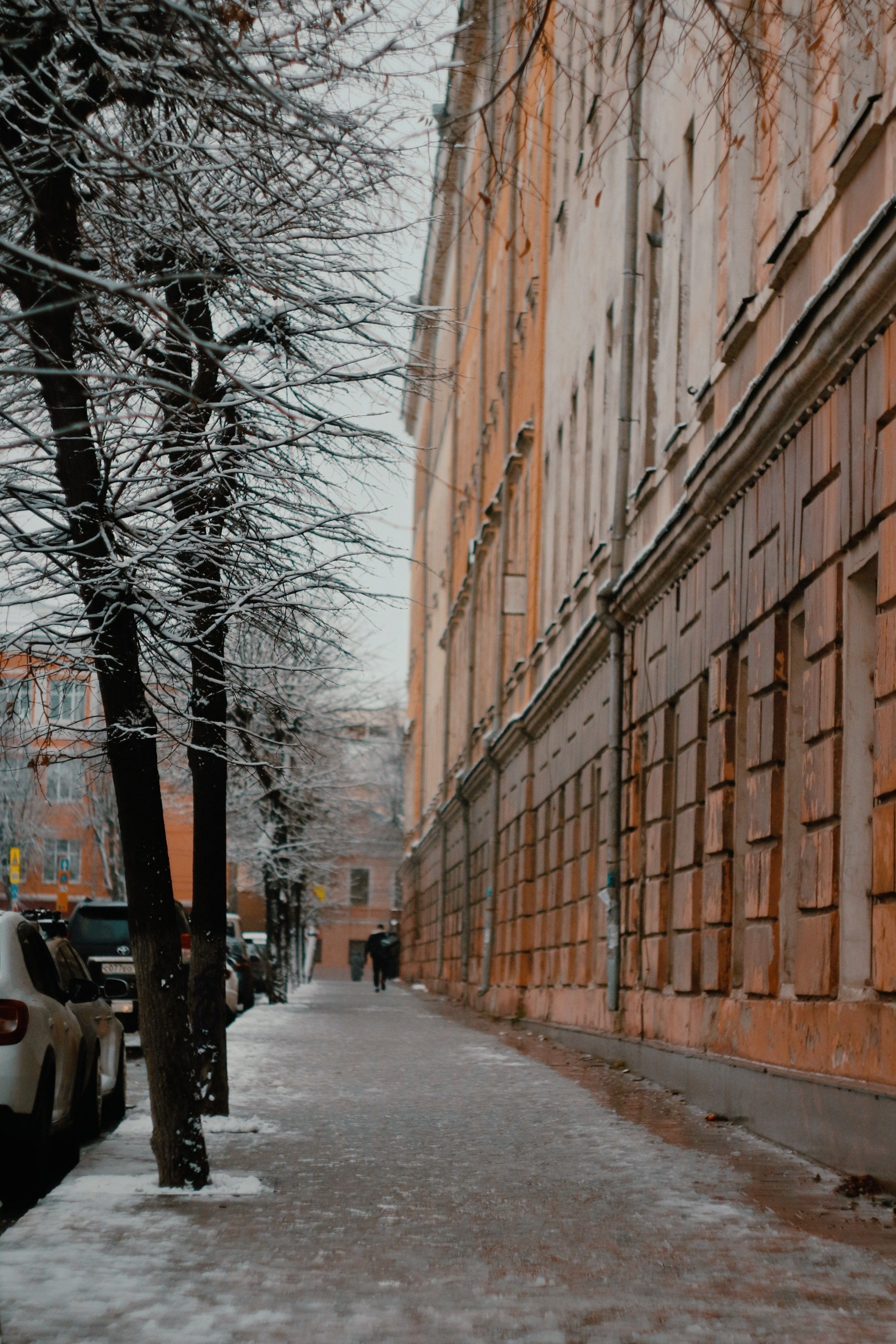 Ноябрьский снег. С любовью, фотохудожник