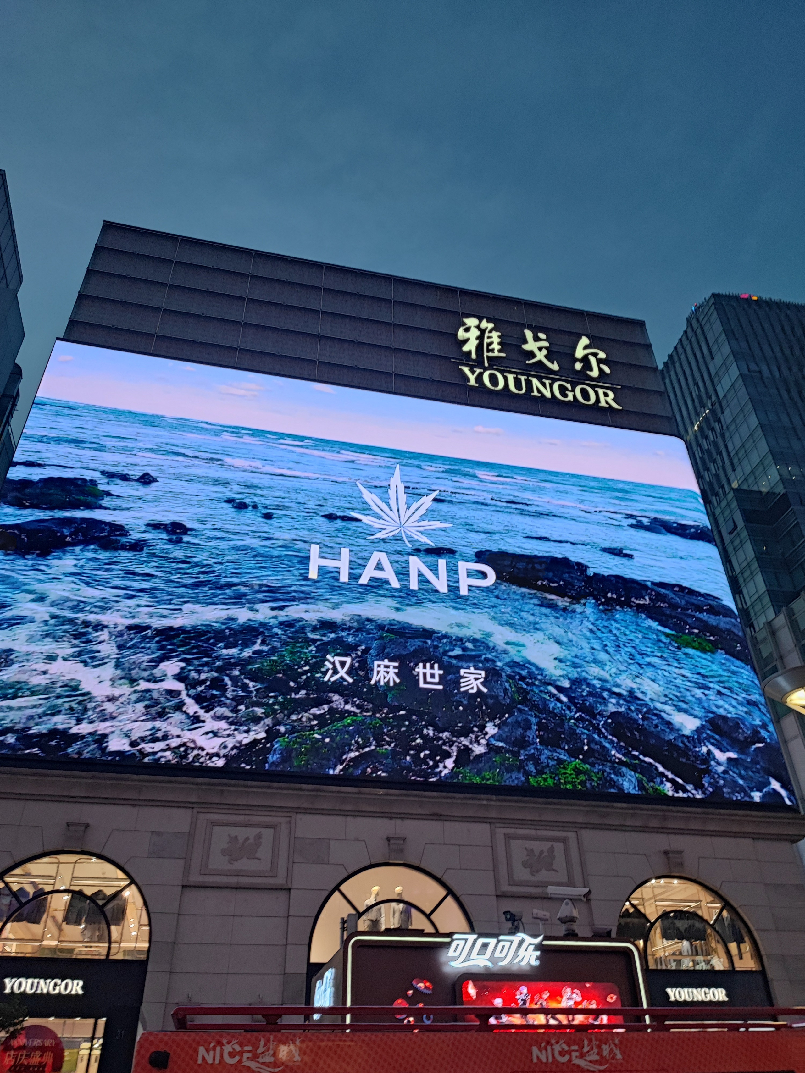 Намобилкус китайский. Репортажный фотограф Алексей Пирязев