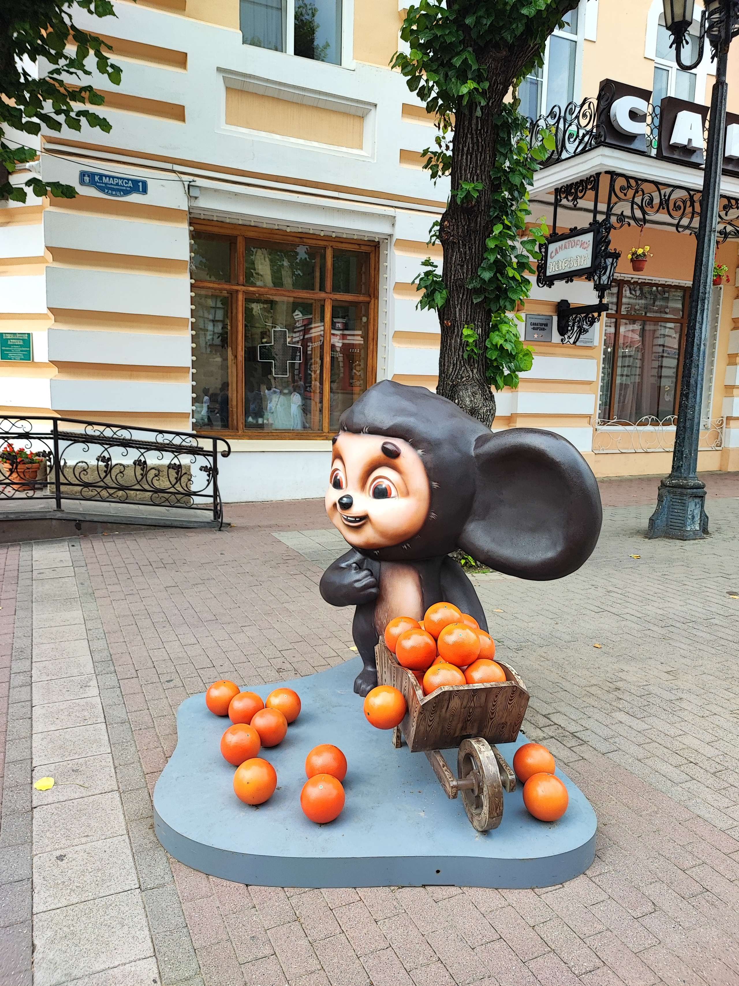 Намобилкус кавказский. Репортажный фотограф Алексей Пирязев