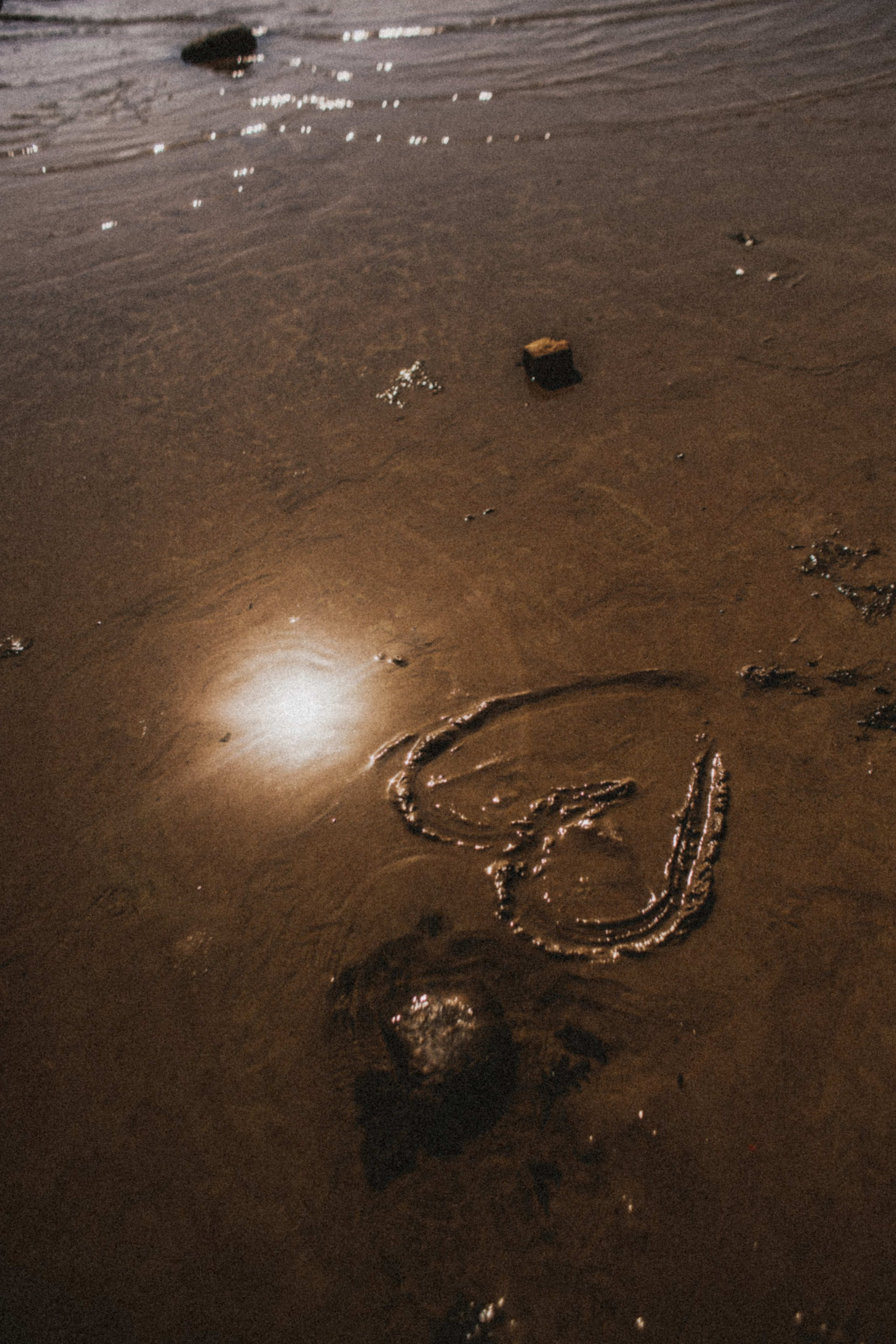 Питер 2022. Фотограф в Нижнем Новгороде