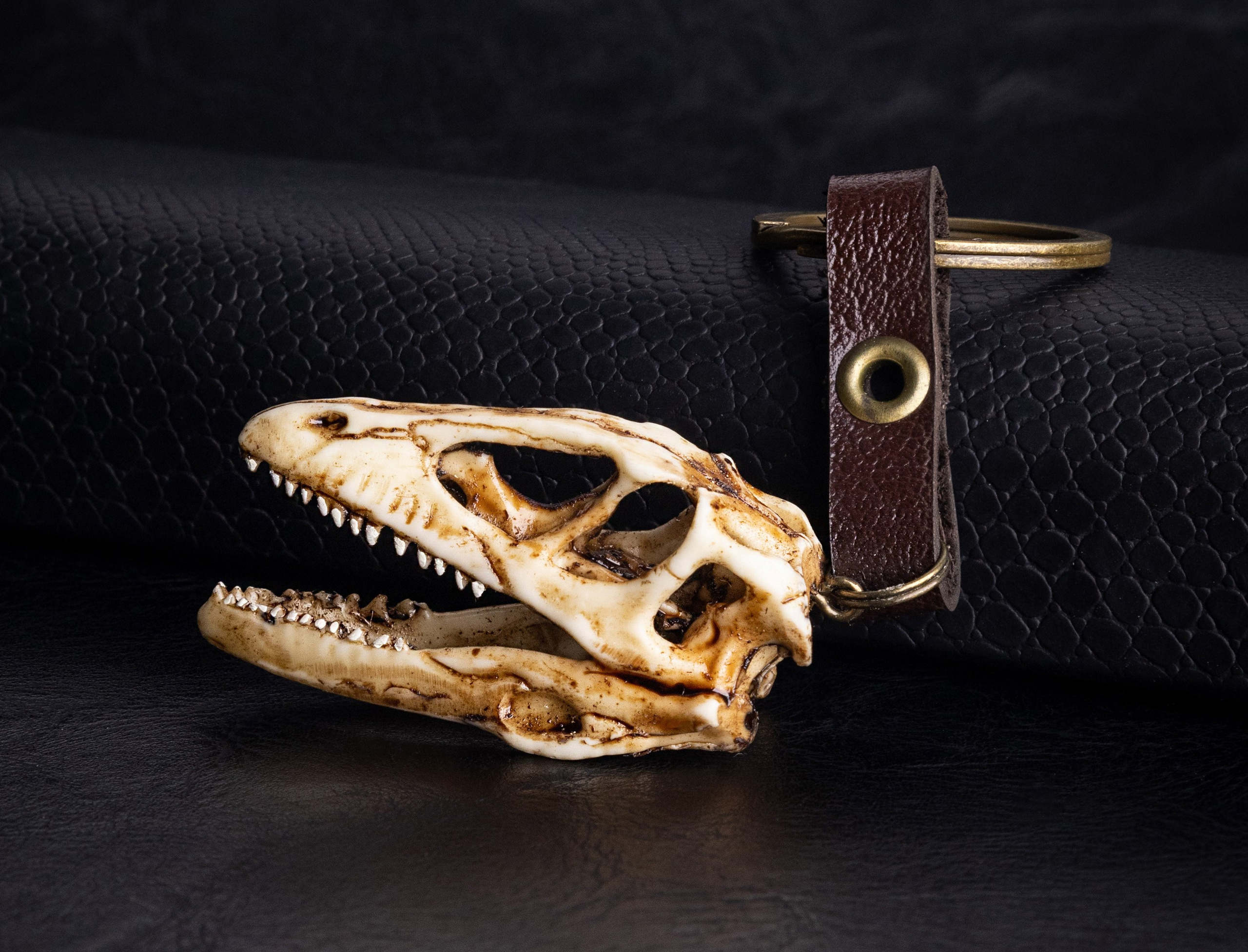 Череп динозавра с кожаным шнурком | Фото для каталога аксессуаров