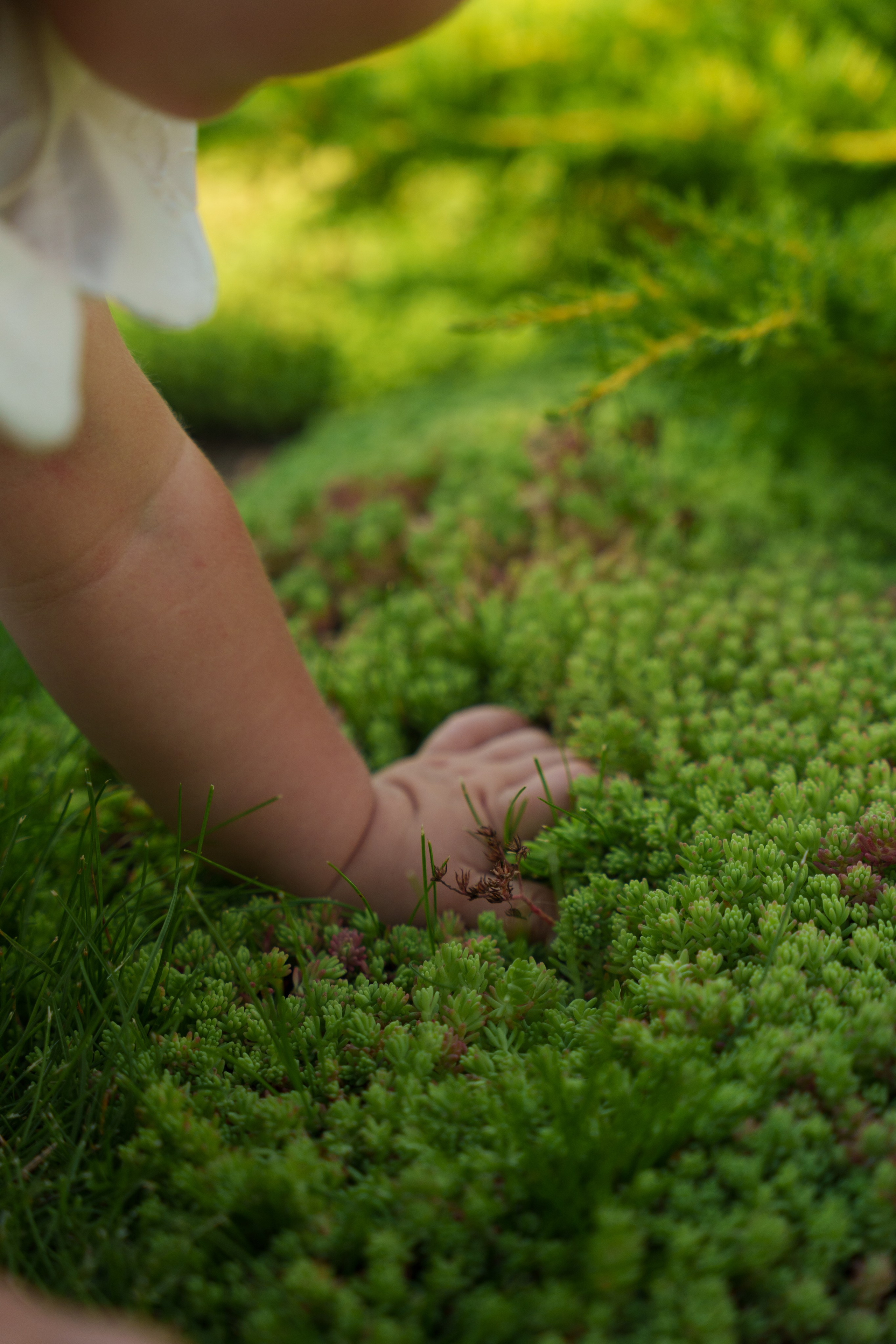 Ева 1 год. Станислав Тюрин Фотограф Москва. Индивидуальные и семейные фотосессии;