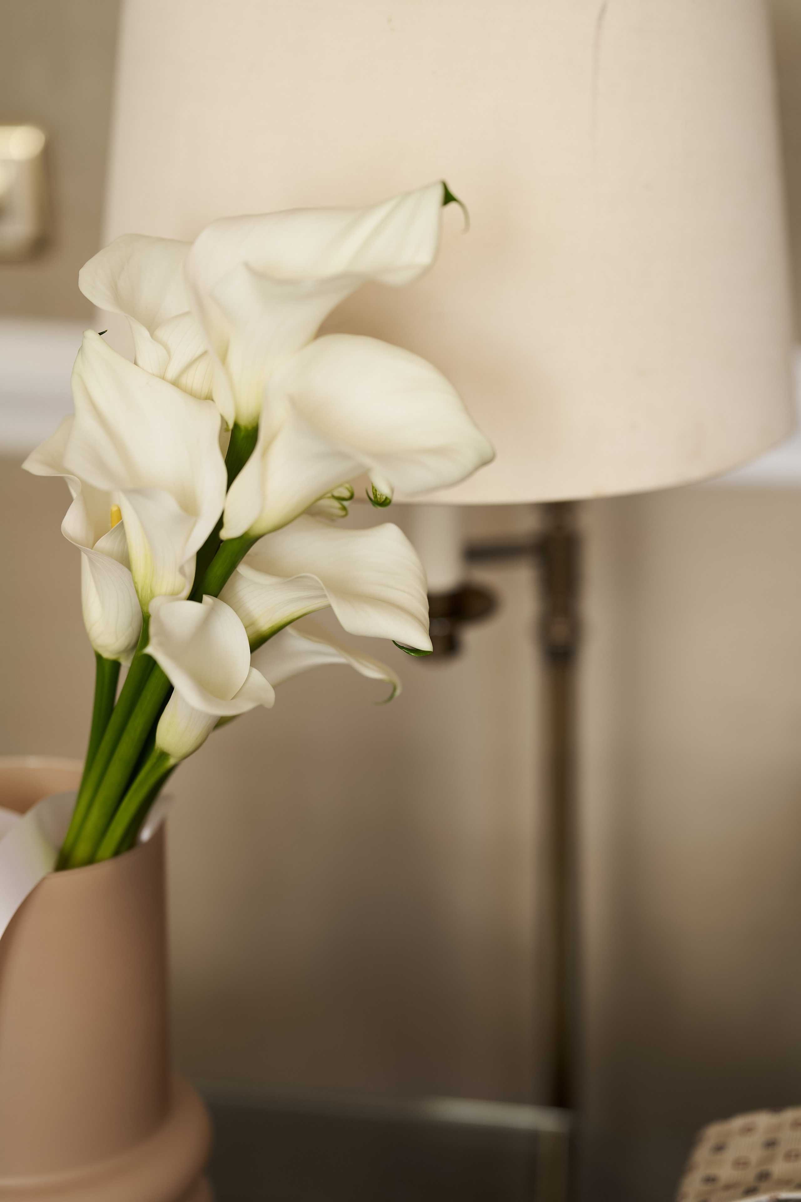 Wedding in Geneva. Photographer in Zurich