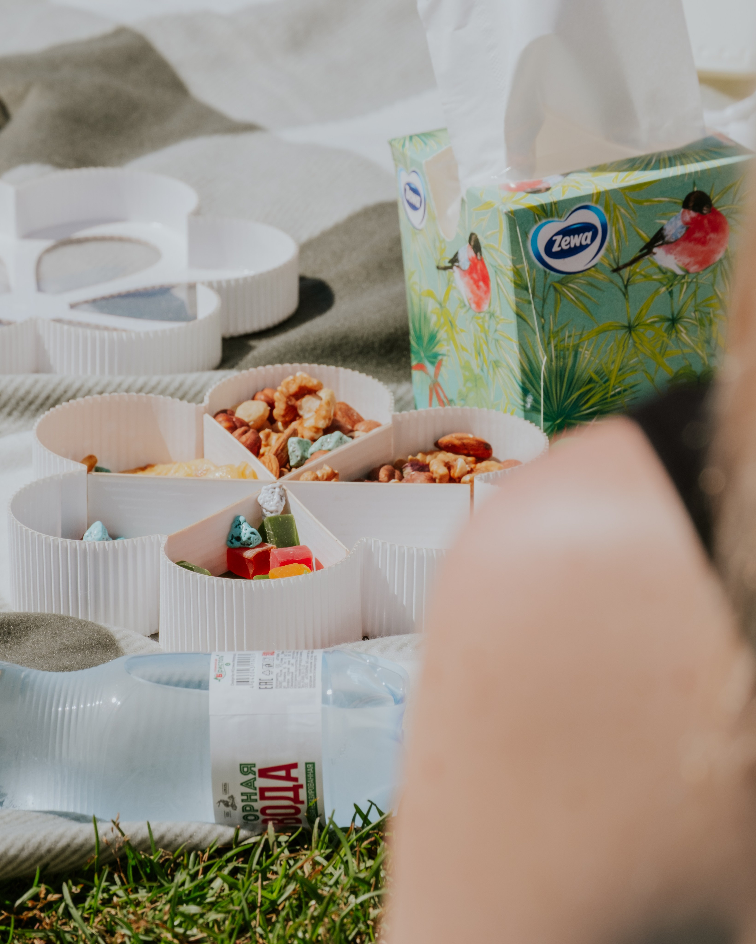 Дебют МакАура. Репортаж с возложения цветов 23.02.2023