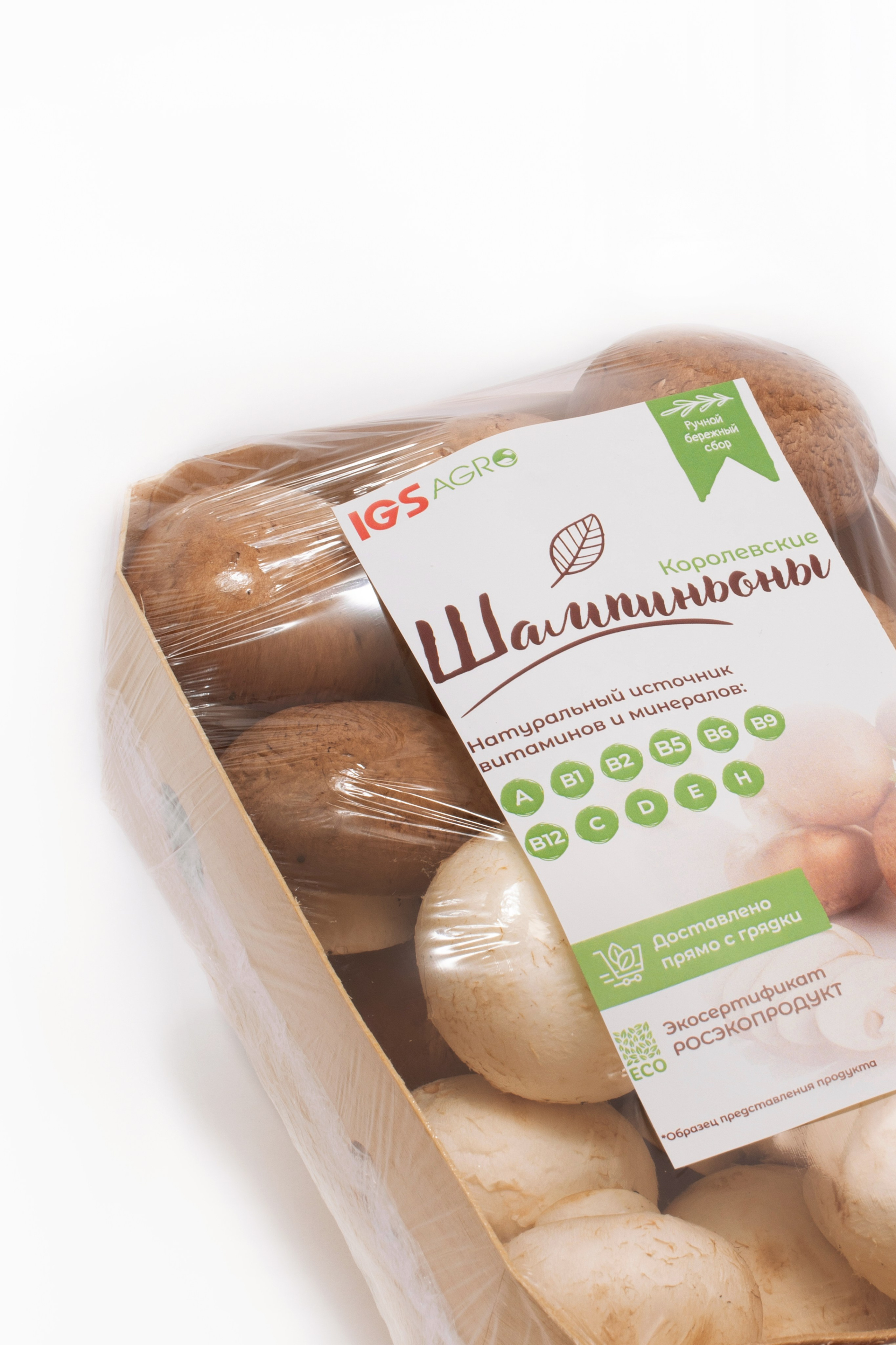 IGS AGRO завод шампиньонов. Коммерческий фотограф в Казани Ксения Добролюбова