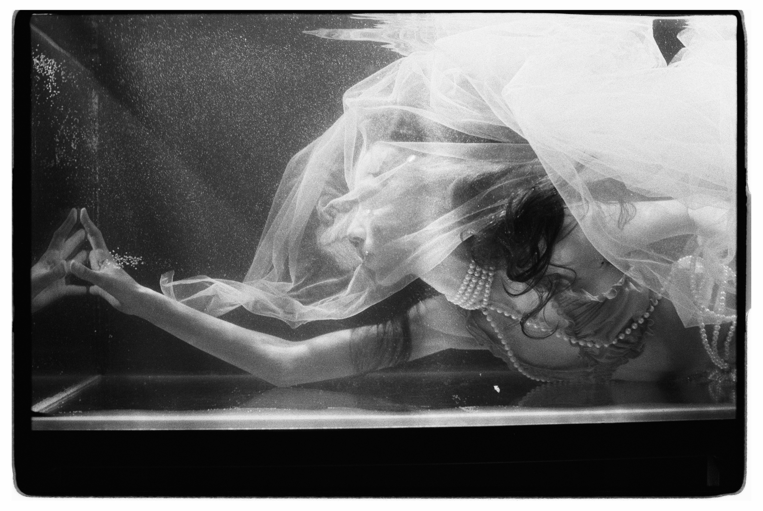 Swimming Beauty. Фотограф Александр Медведев