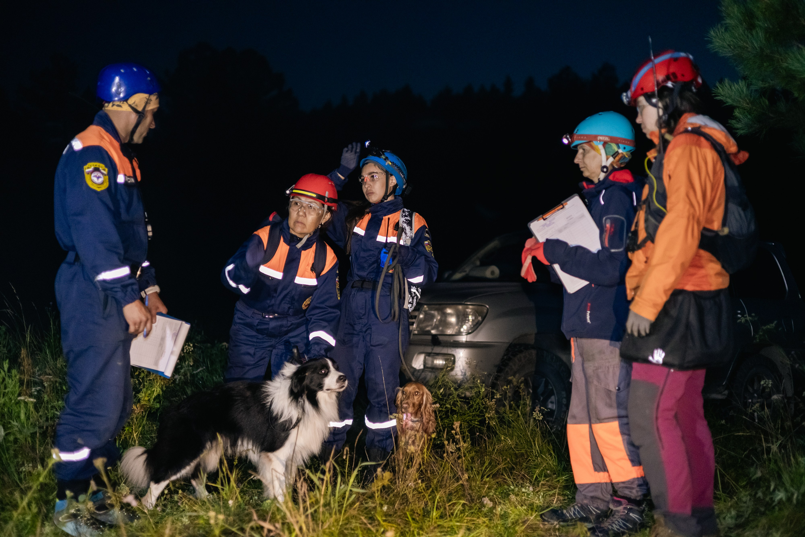 VI ОТКРЫТЫЕ КИНОЛОГИЧЕСКИЕ СОРЕВНОВАНИЯ. ЧЕЛЯБИНСКАЯ ОБЛАСТЬ 2025. Репортажный фотограф Наталья Лапцевич