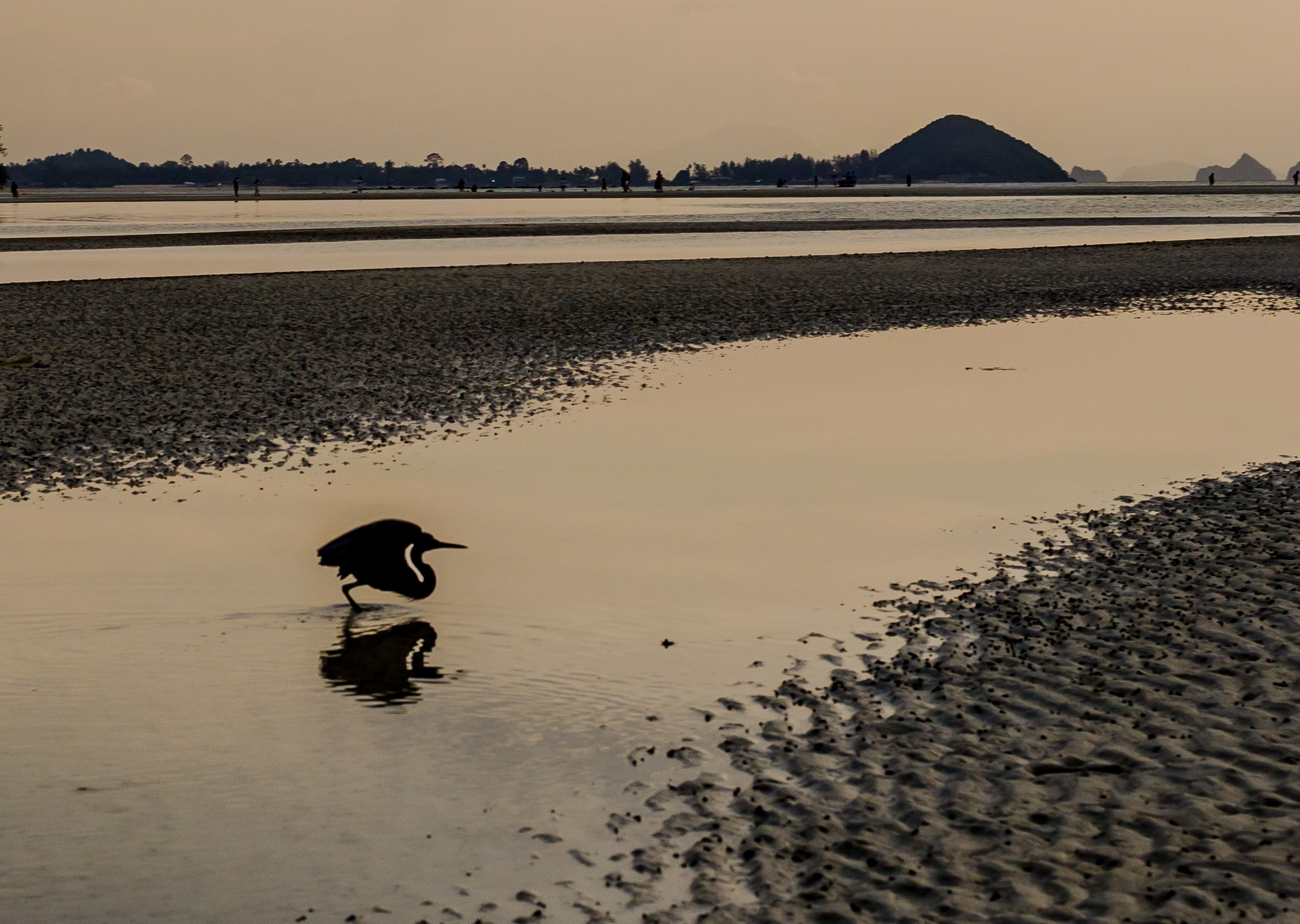 Thailand 2023, Samui. Art Photographer