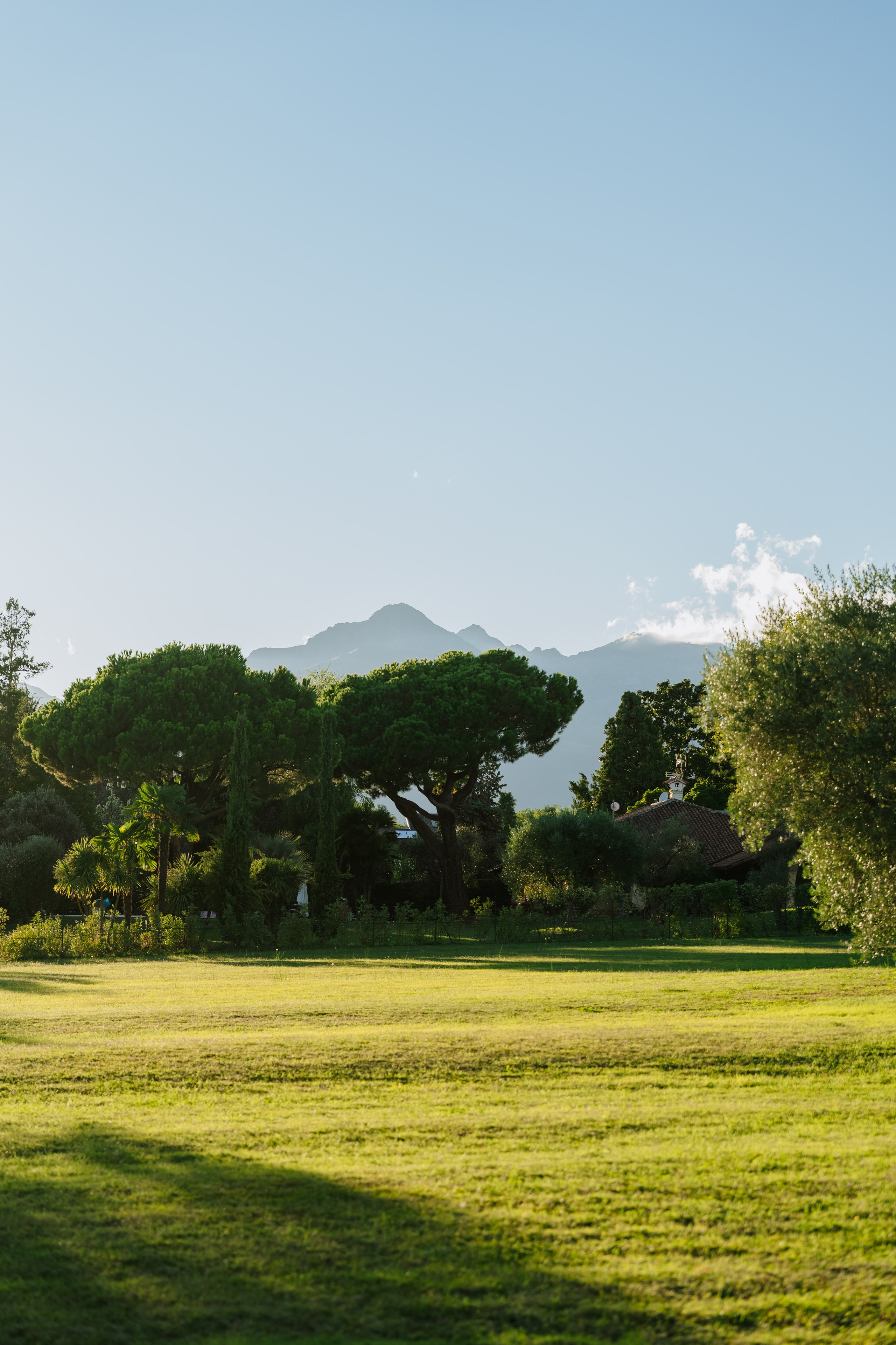 Vera & Lorenzo | Biella, Italy. Professional Wedding Photographer Geneva & Romande Switzerland | Tanya Creator