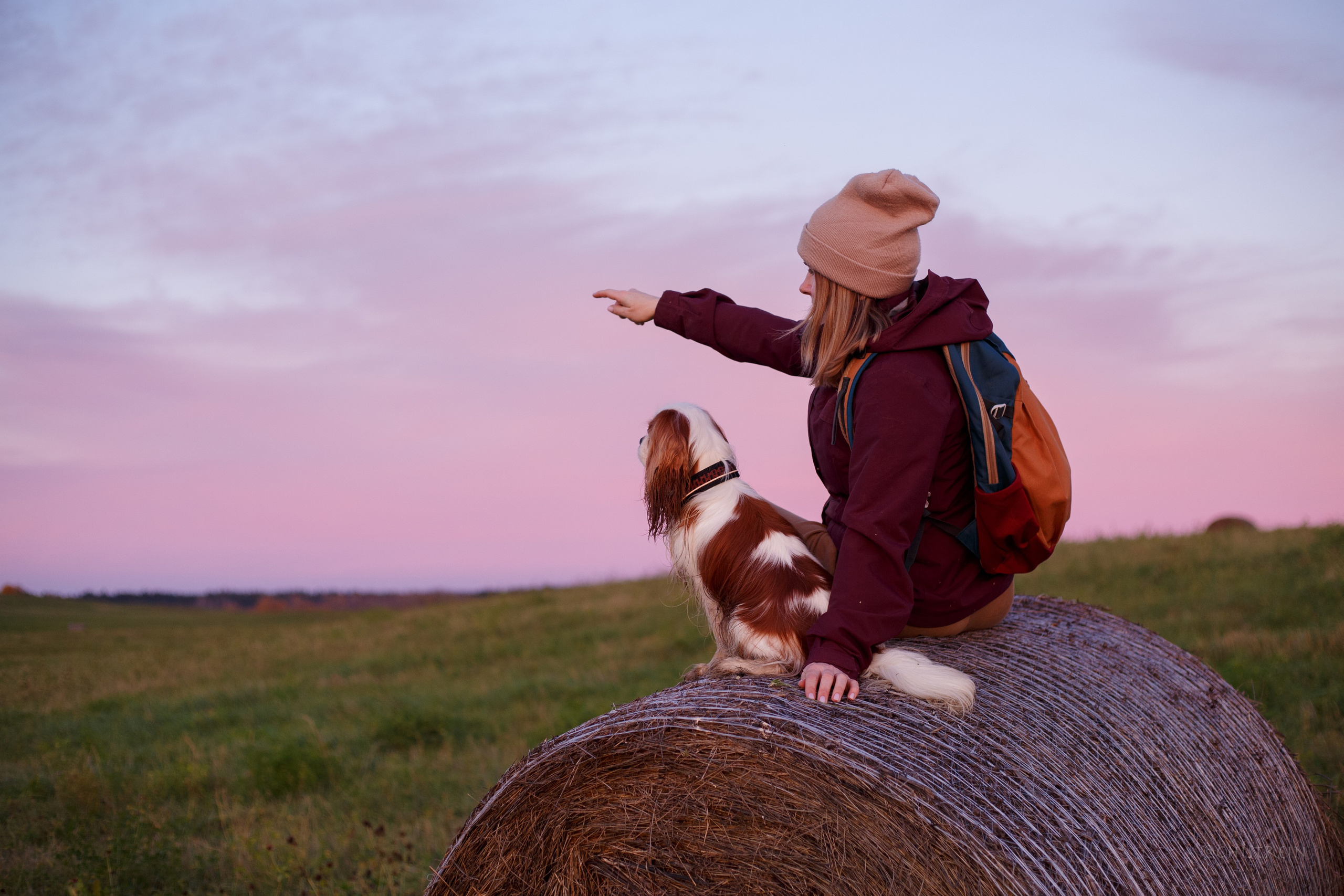 Октябрьский закат в полях. Алина и Лео. Фотограф-анималист Наталия Чистюхина в г. Сосновый Бор и ЛО