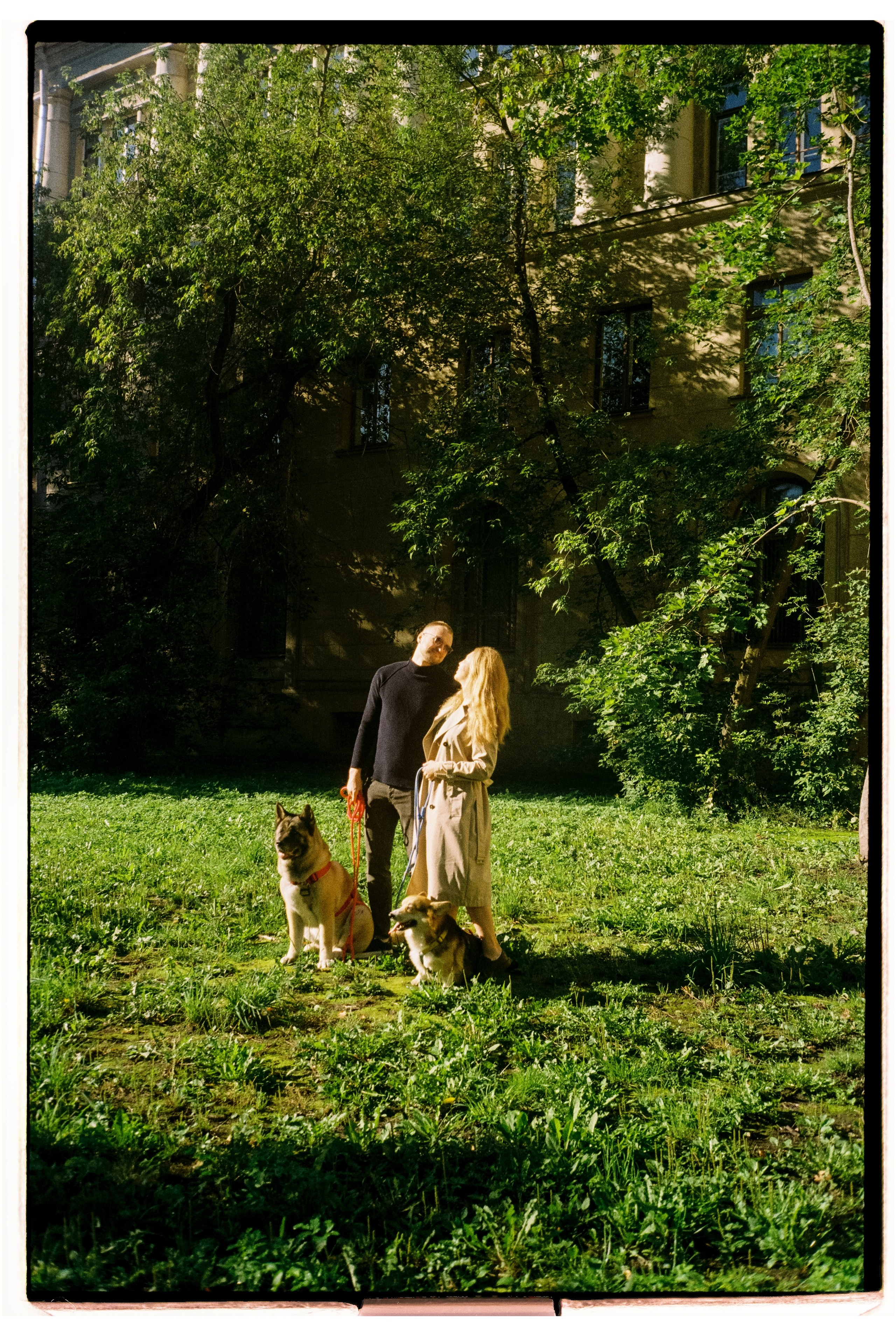 12 лап и 4 сердца. Сентиментальная свадебная фотография