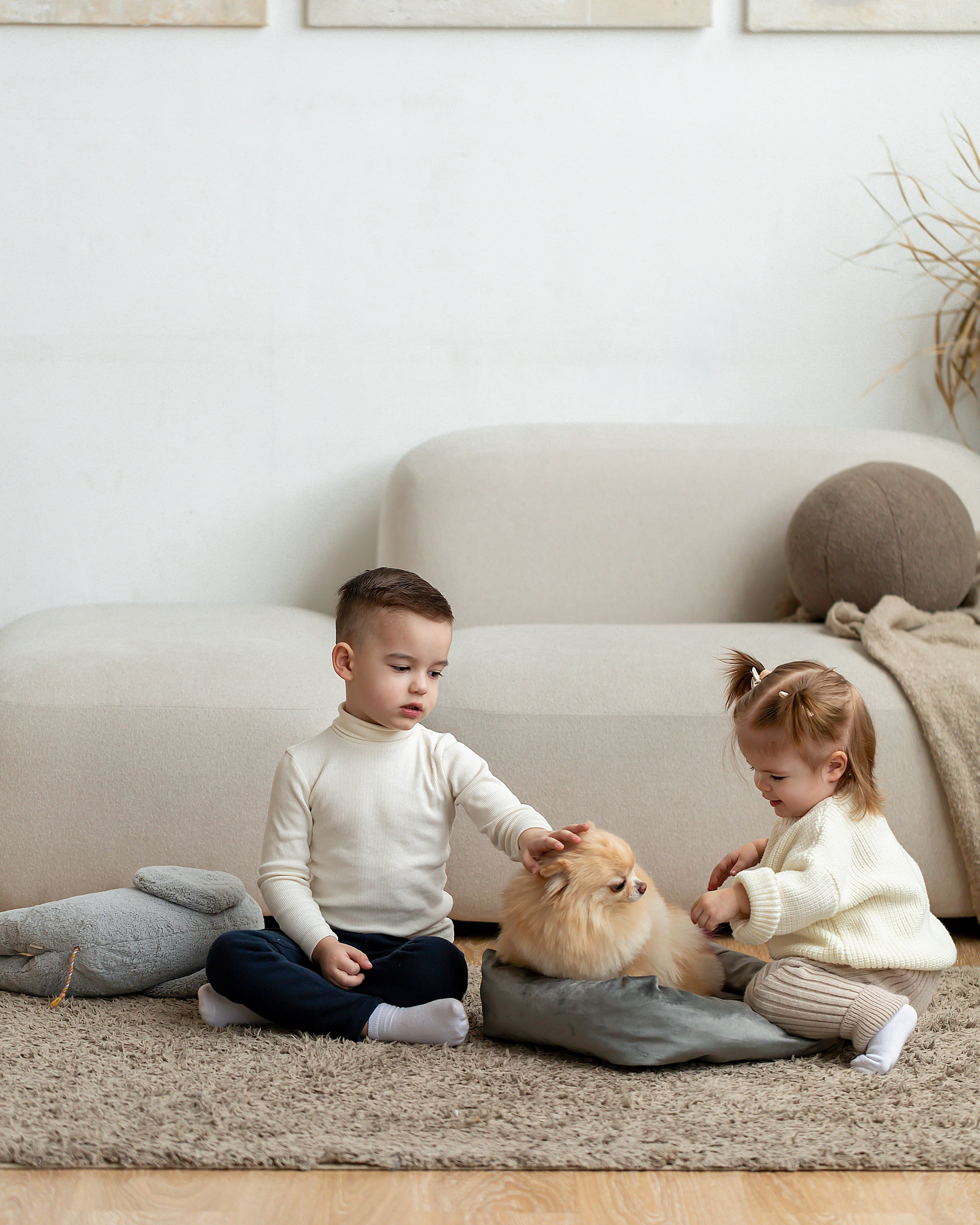 Лежанки для животных. Предметный & фудфотограф Рязань