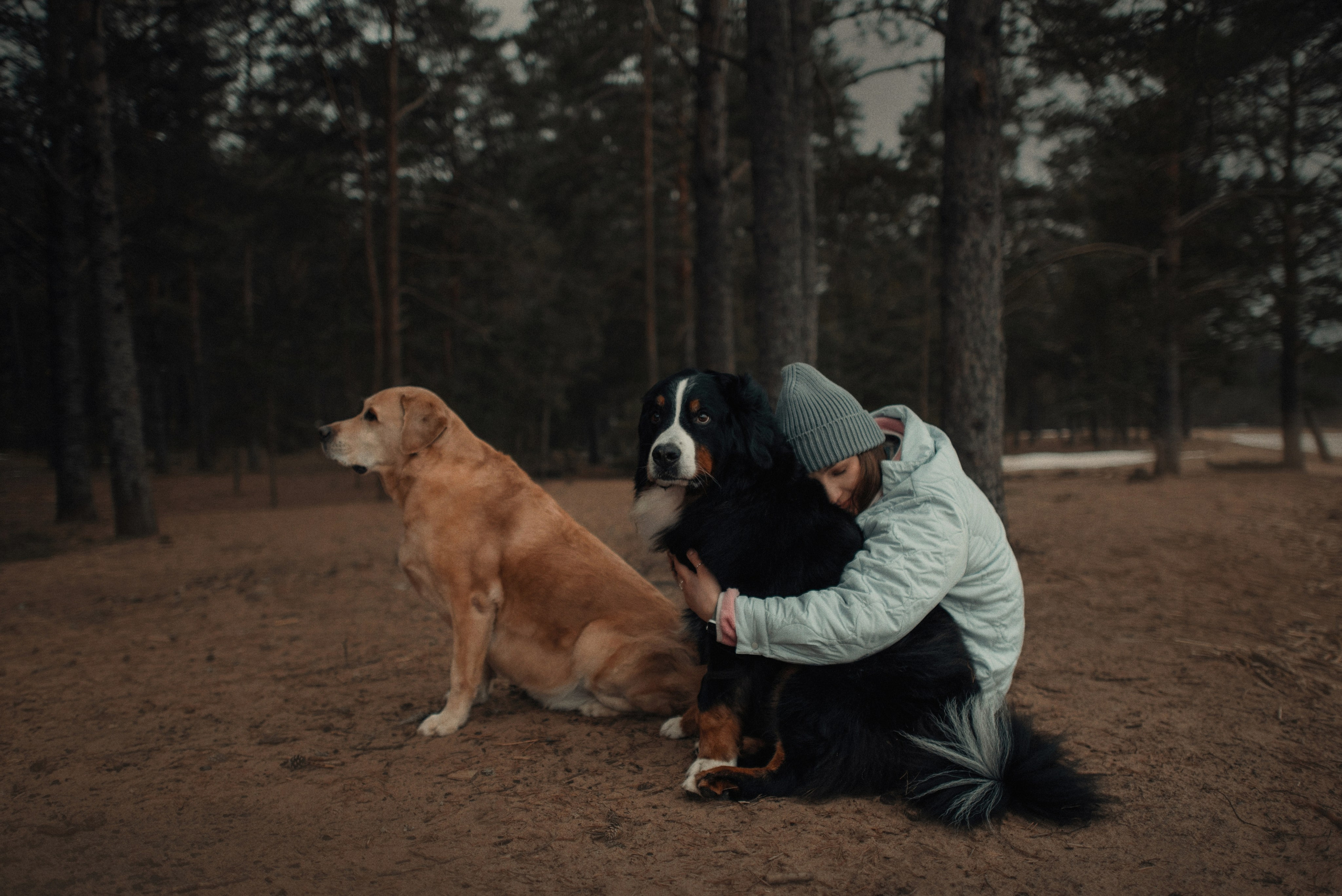 Прогулка: берн Пума, Фрэнк и Юля в Питере. Портфолио