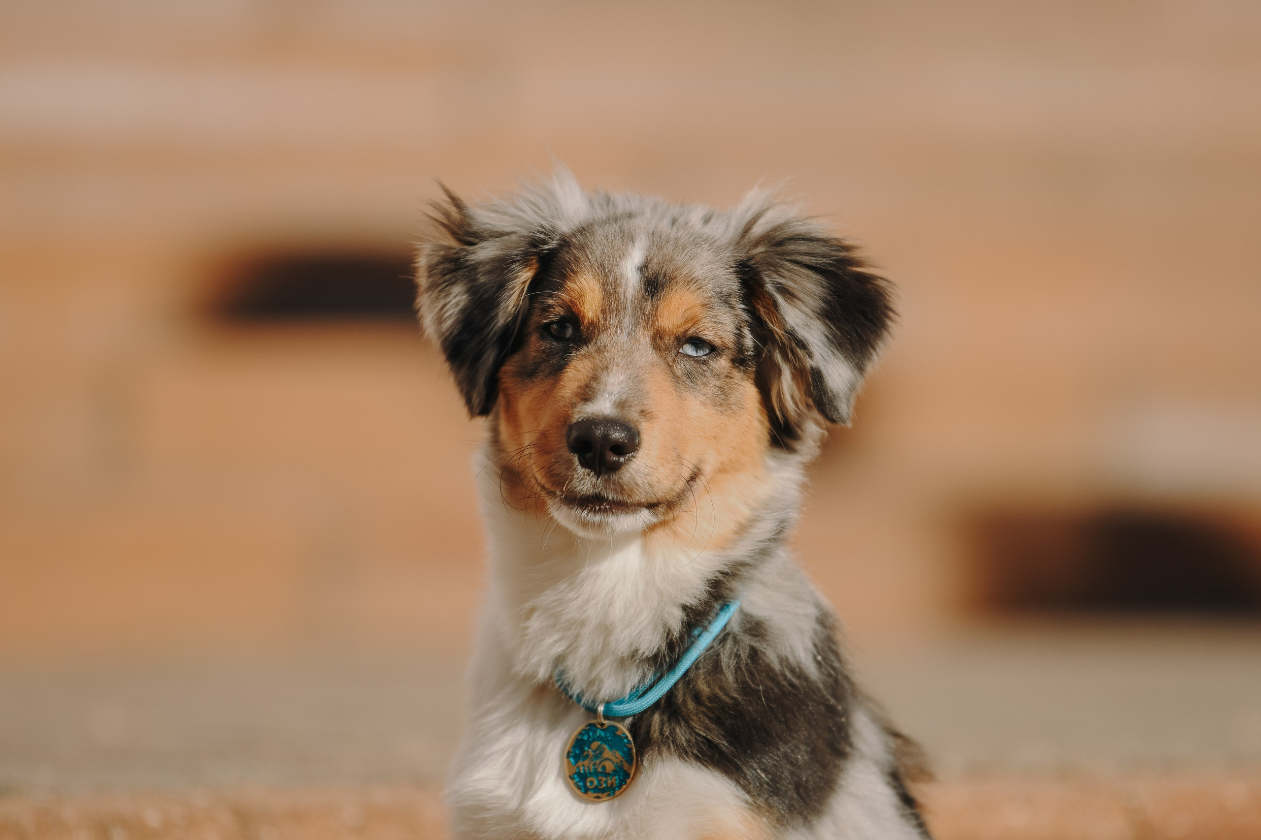 Художественная съёмка