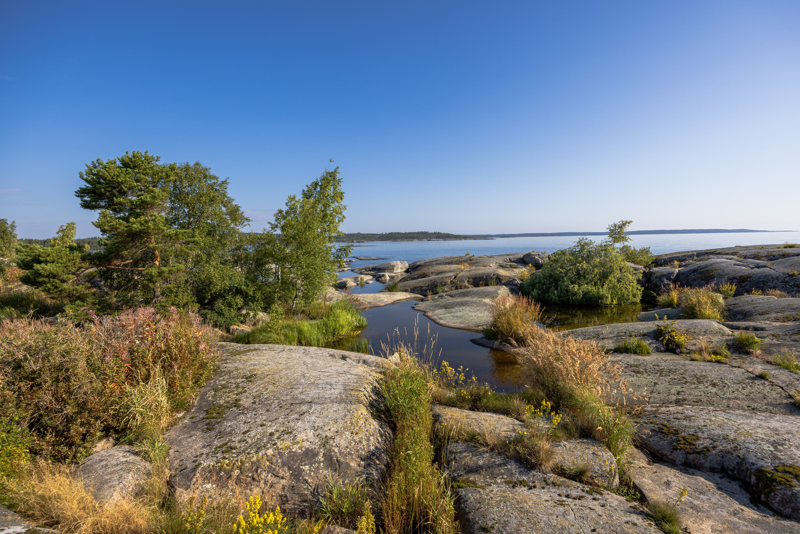Ладога. Автомобильная фотография в Санкт-Петербурге