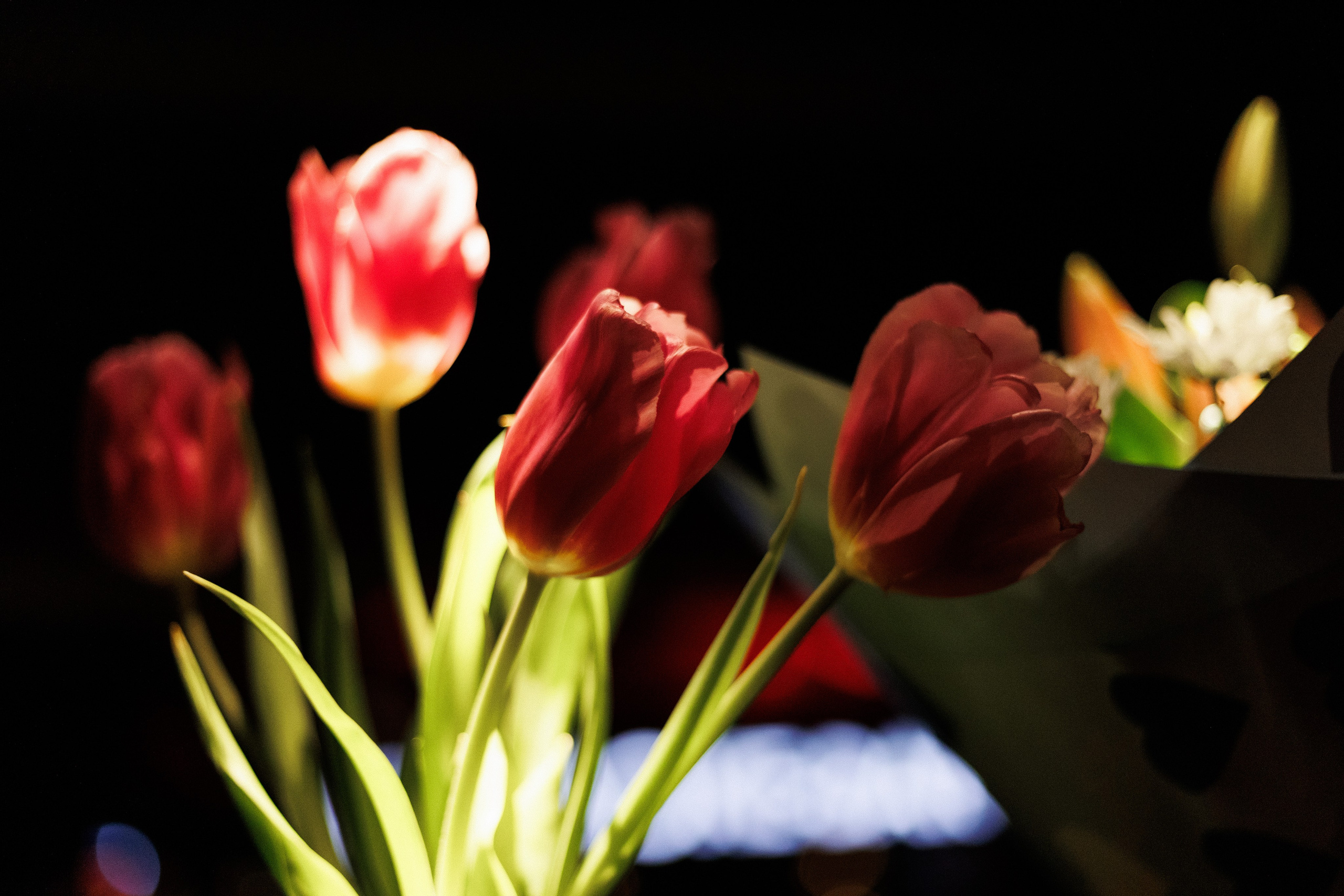 SOLOVI — 8 МАРТА. СВОИ. ФОТООТЧЕТЫ-СОБЫТИЯ-МЕСТА