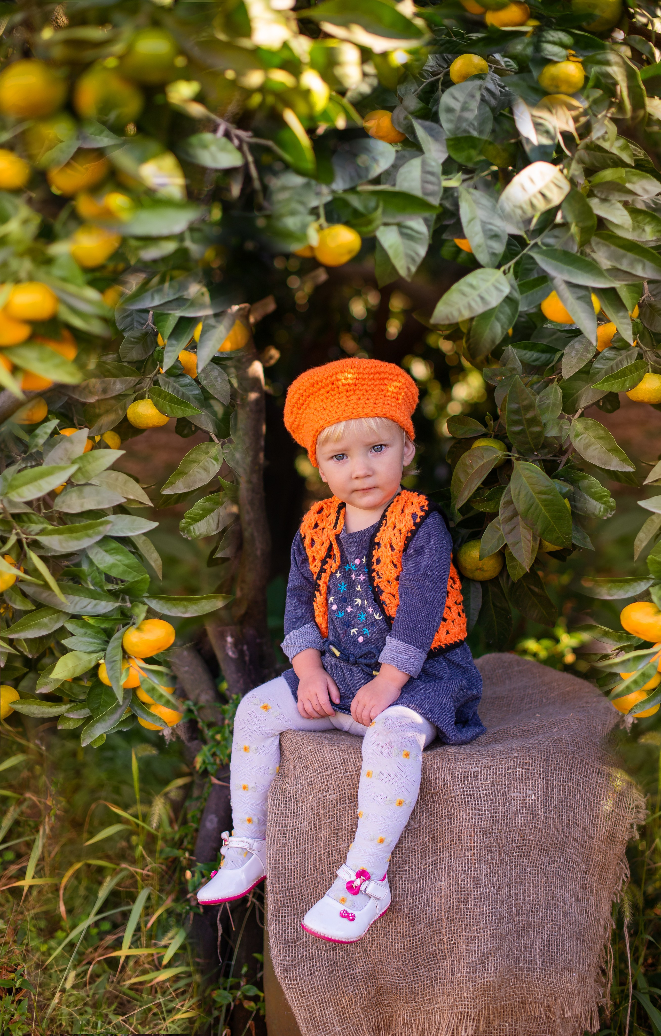 Мандарины. Детский и семейный фотограф в Абхазии