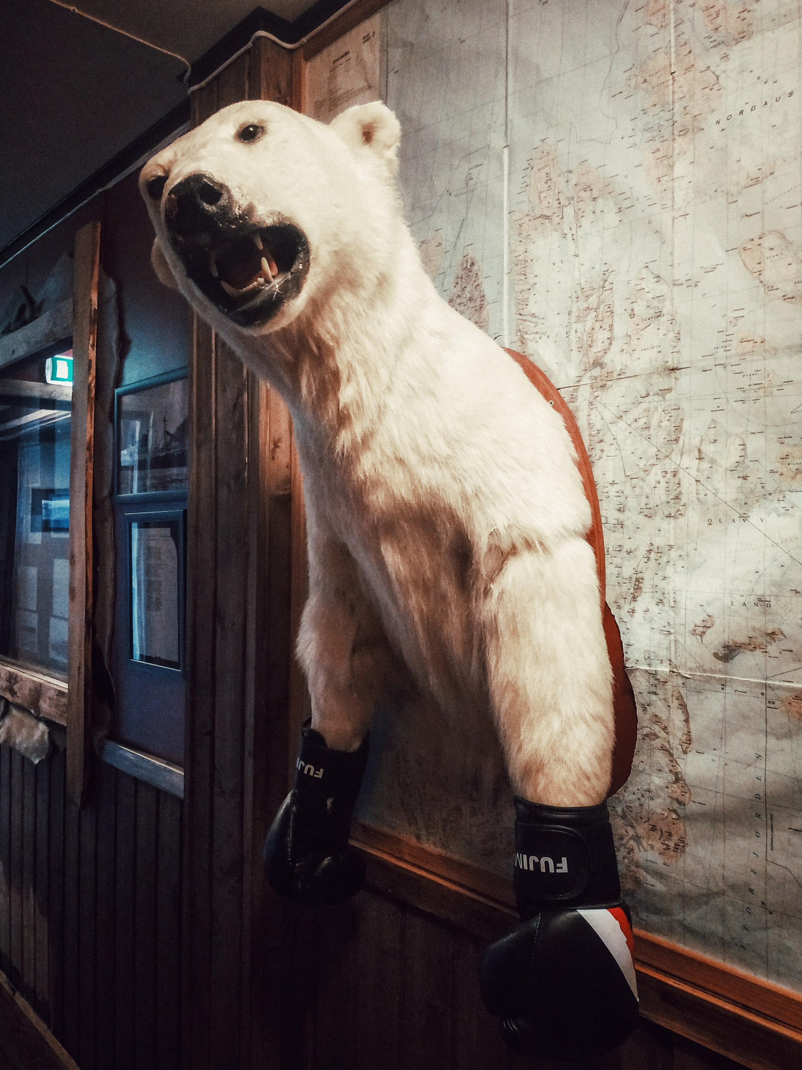 Мой первый день на Шпицбергене. Дарья Письменюк / Darya Leitstern — фотограф, музыкант, журналист, путешественник