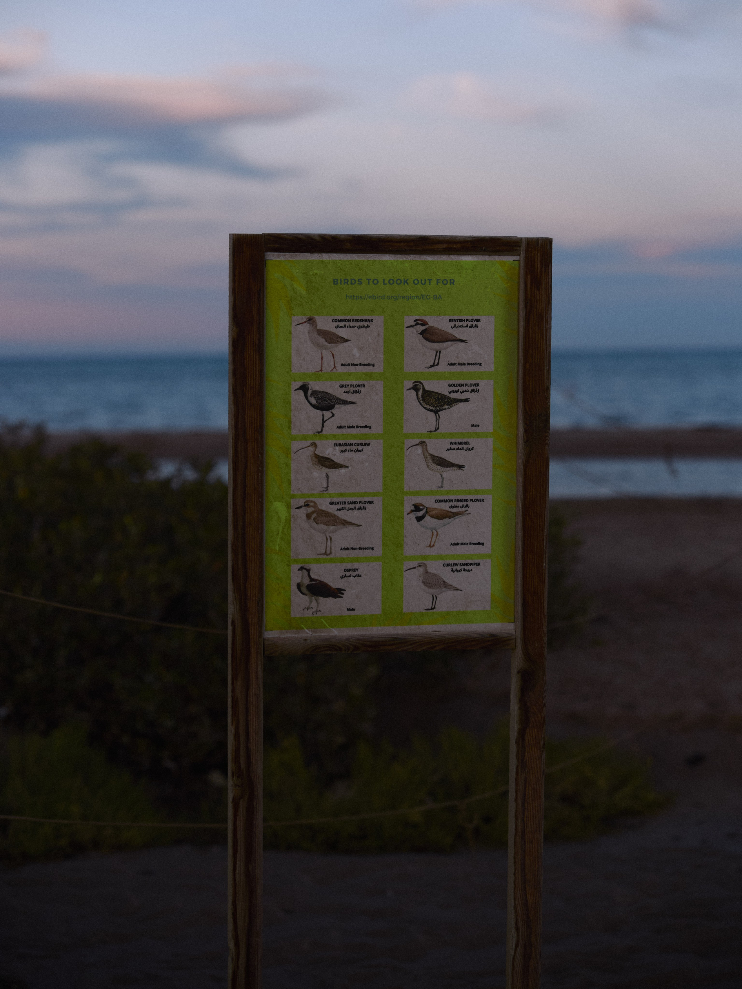 Другое 2. Jorgis Talè — photographer, kind person, teacher of arts and other mag