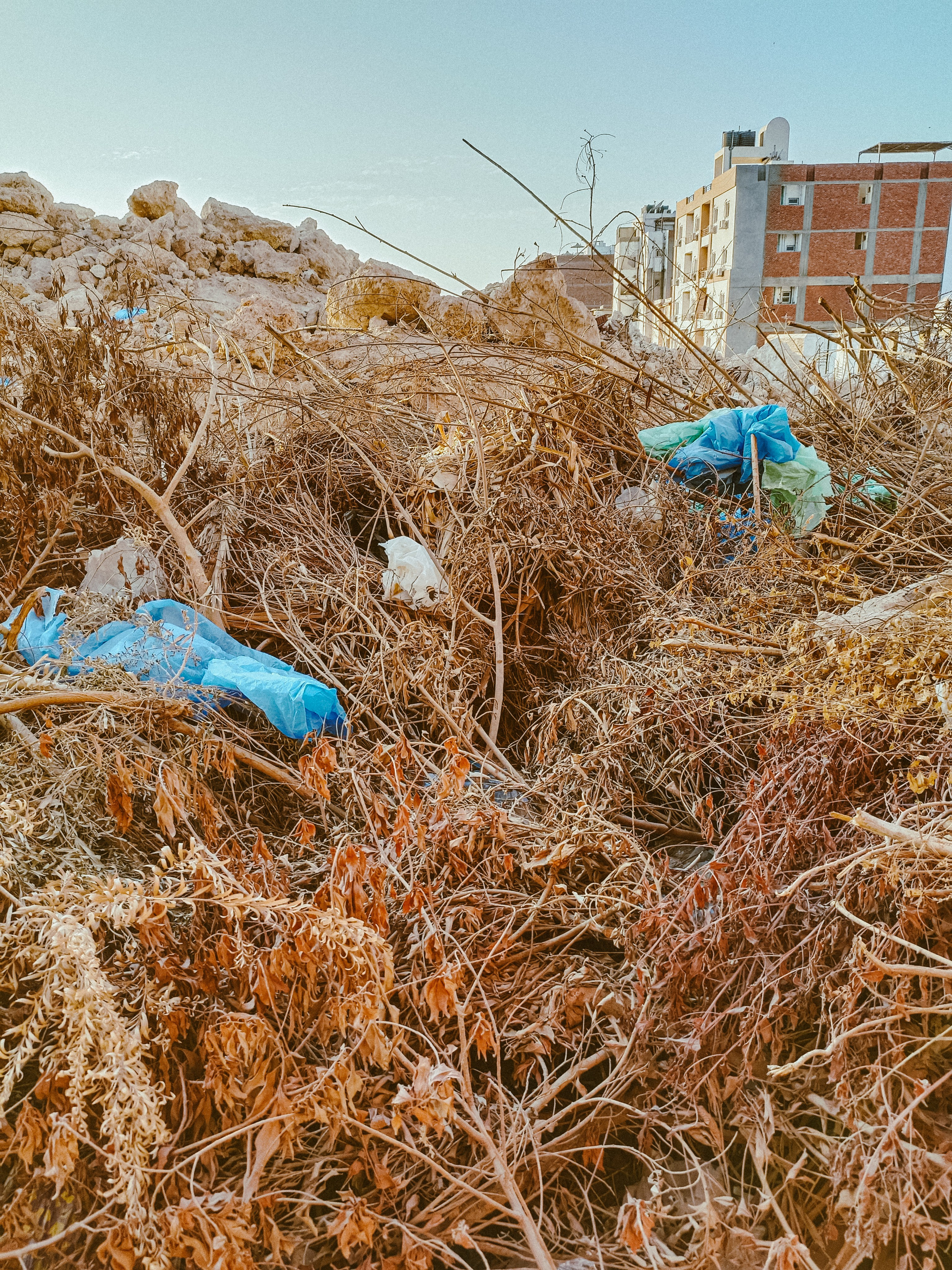 Мобильная. Jorgis — фотограф в Хургаде / обучение фотографии