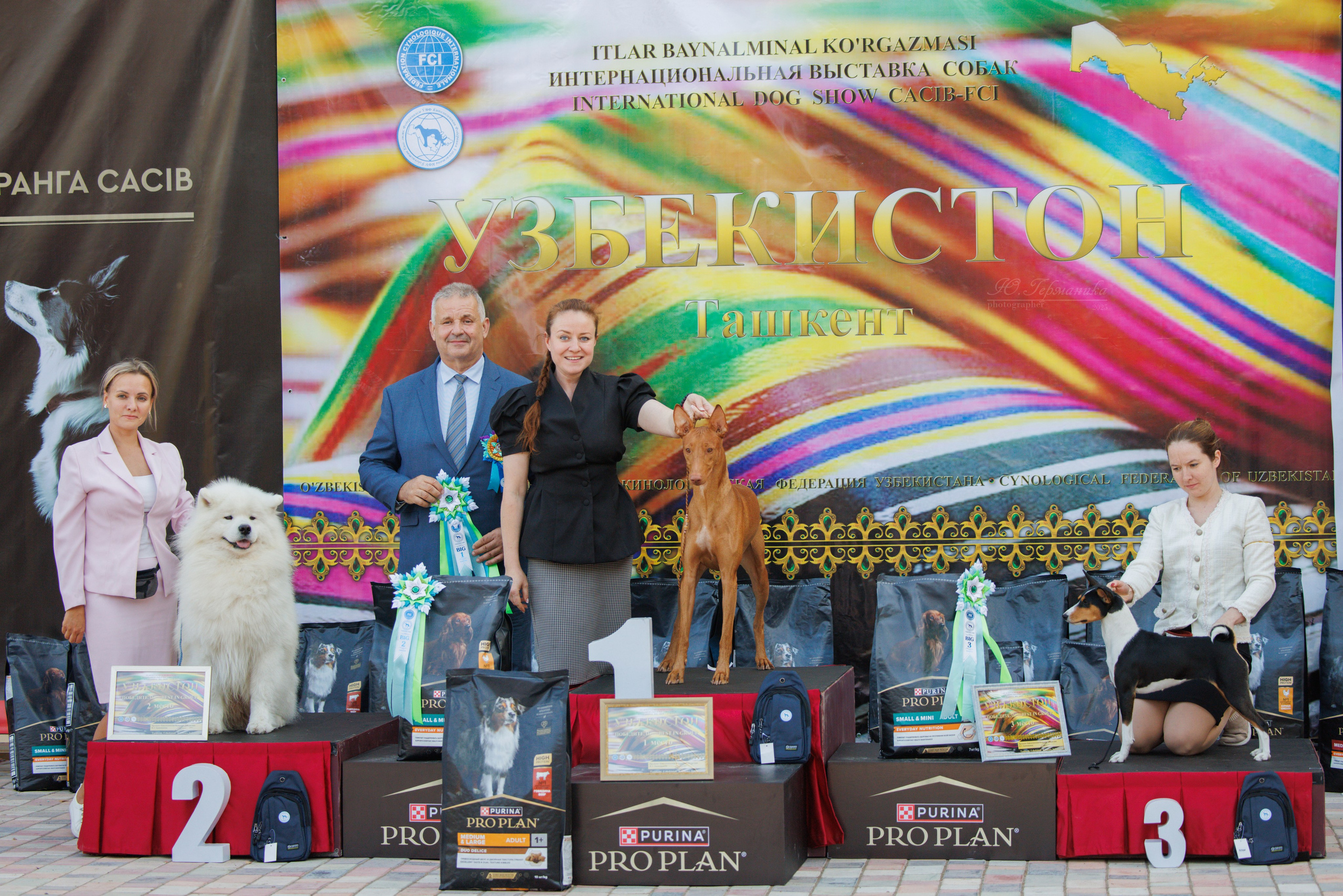 Ташкент 3хCACIB 3-5.10.2025. Фотограф-анималист Юлия Германика