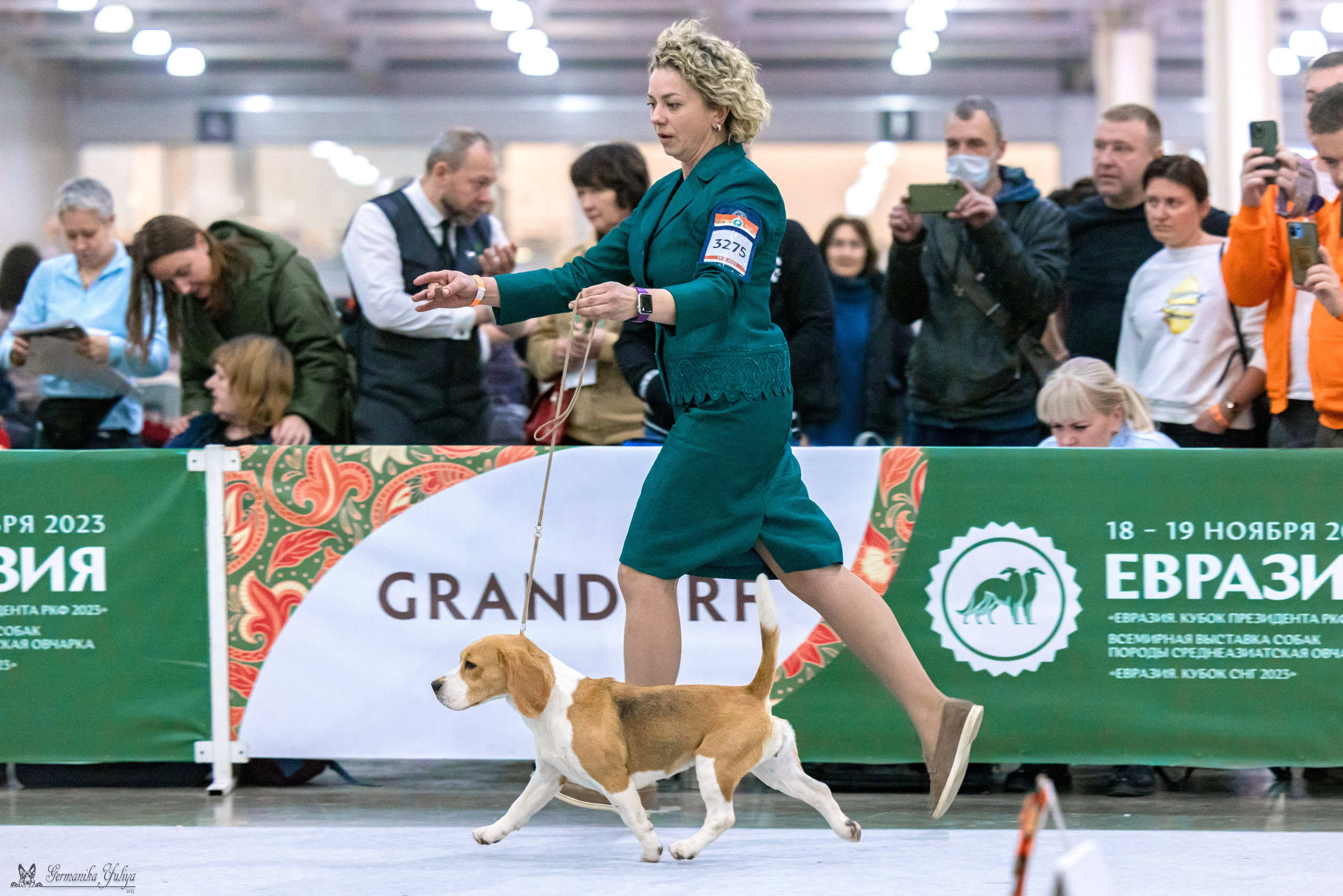 ЕВРАЗИЯ 18-19.11.2023. Фотограф-анималист Юлия Германика