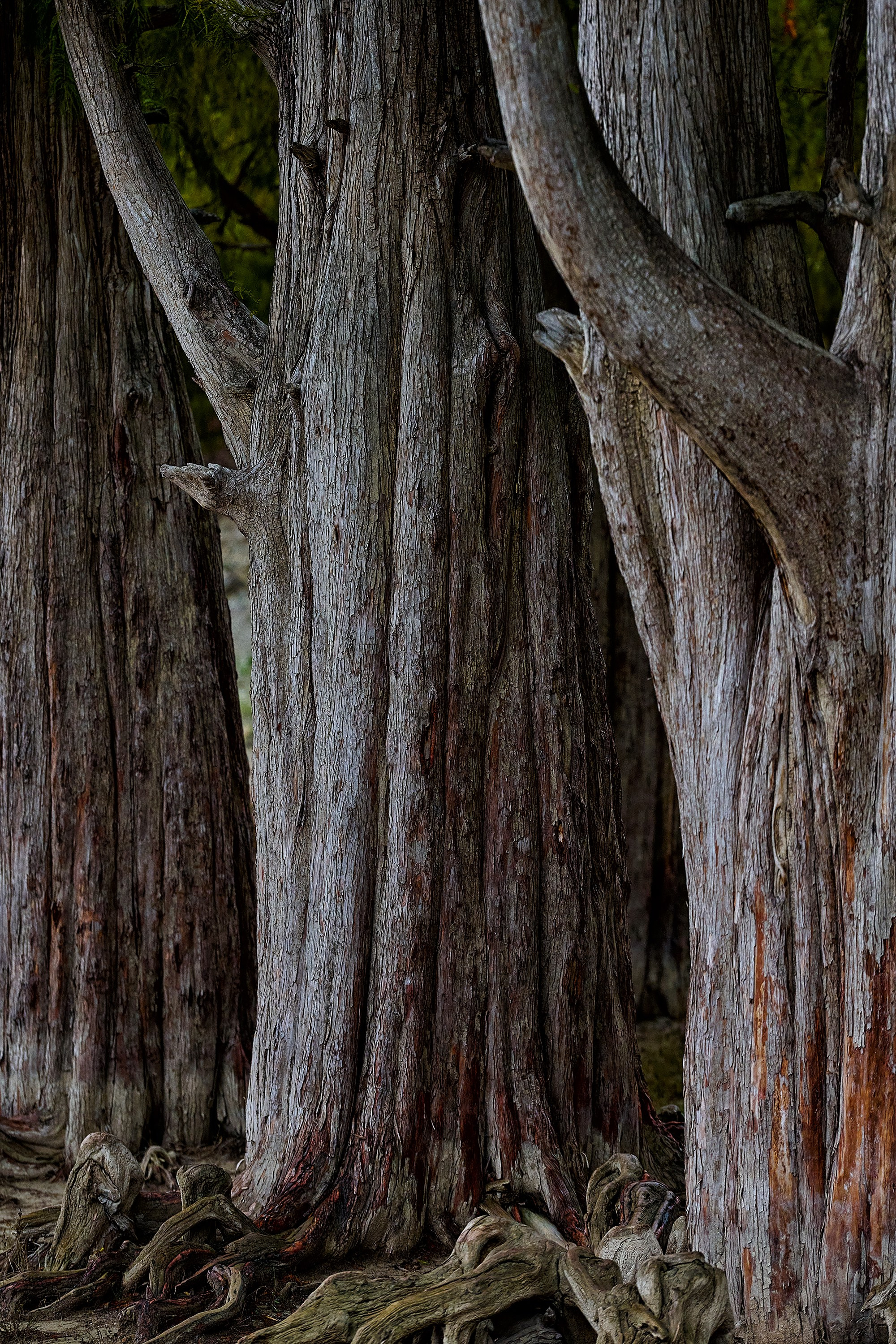 Текстуры и другие фоны. Textures and other. Яркие фото на Чёрном море