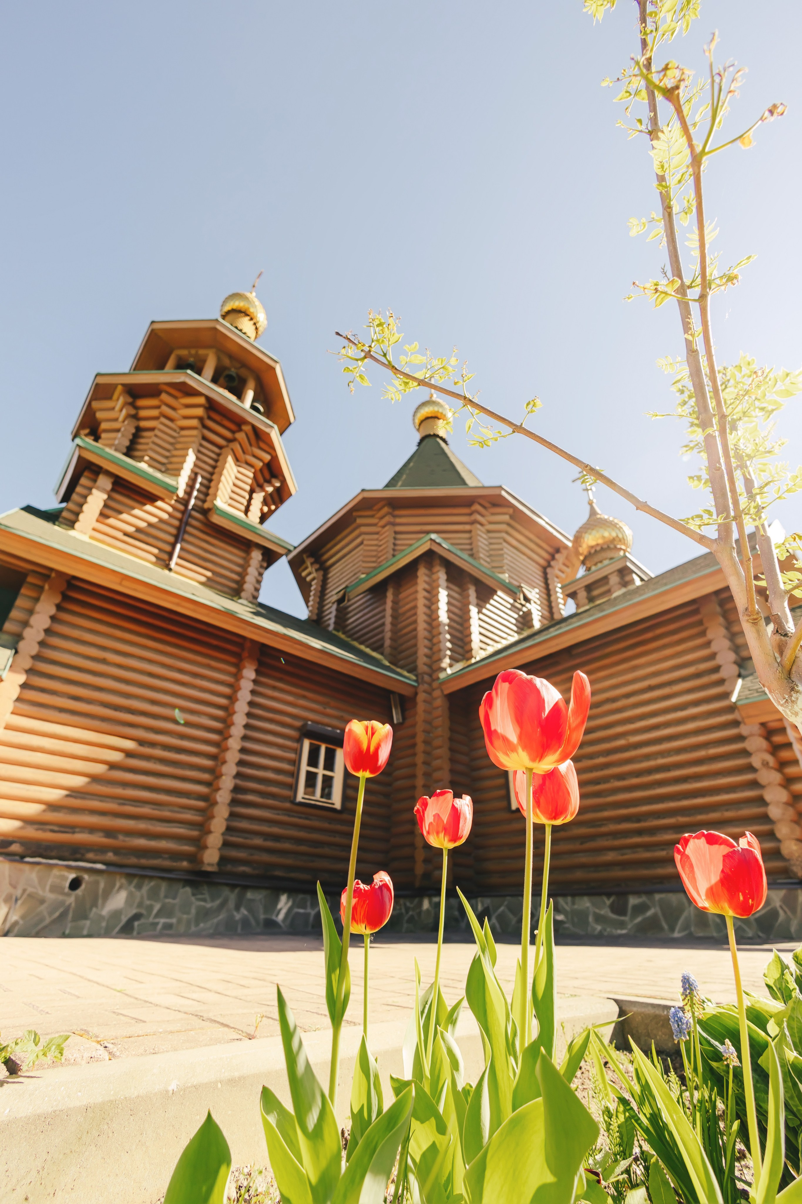 Крещение Елизаветы. Александр Антонов. Профессиональный свадебный, репортажный фотограф в Москве, Подольске. Фото+Видео на любой праздник