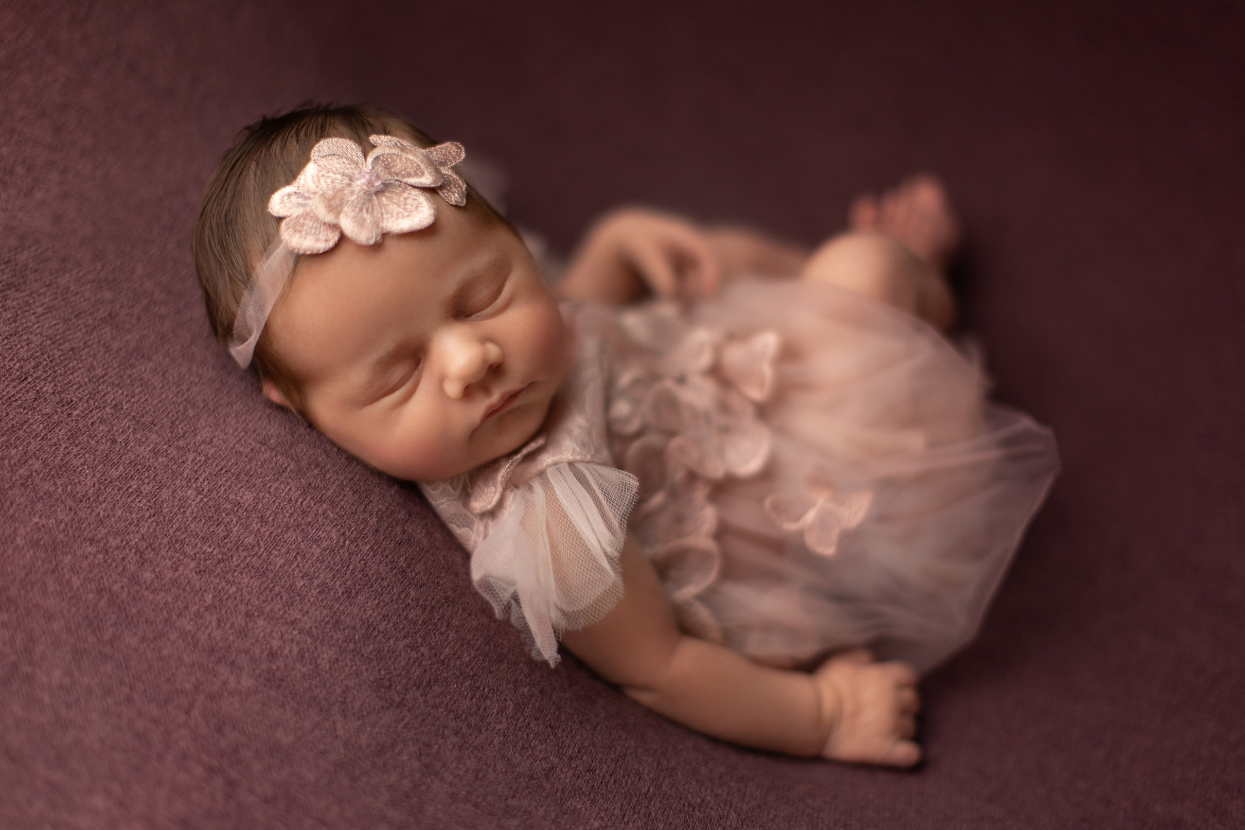 Lavender. Фотограф новорожденных, семейный фотограф в Санкт-Петербурге