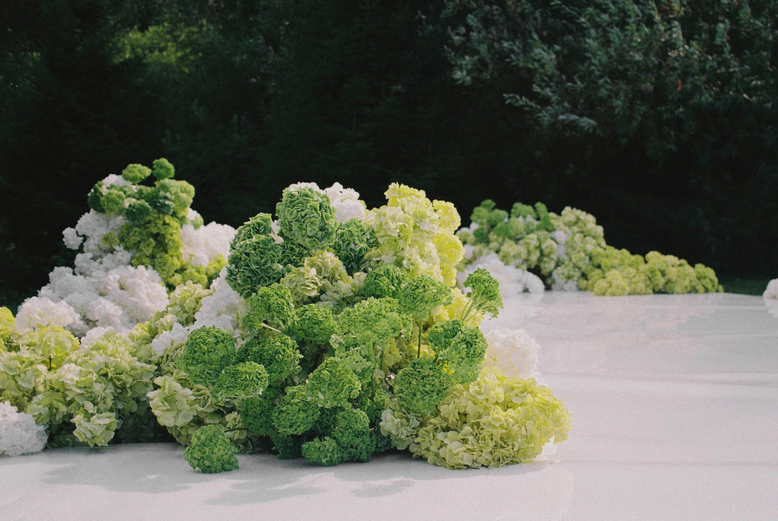 По Волнам. Фотограф Илья Бурдун